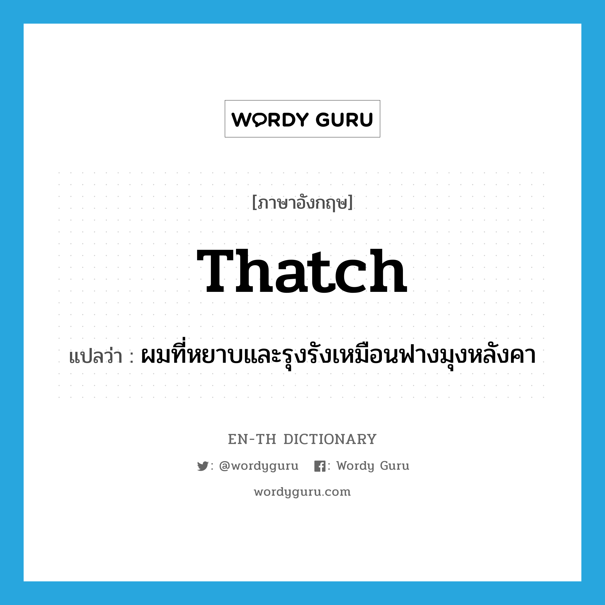 thatch แปลว่า?, คำศัพท์ภาษาอังกฤษ thatch แปลว่า ผมที่หยาบและรุงรังเหมือนฟางมุงหลังคา ประเภท N หมวด N