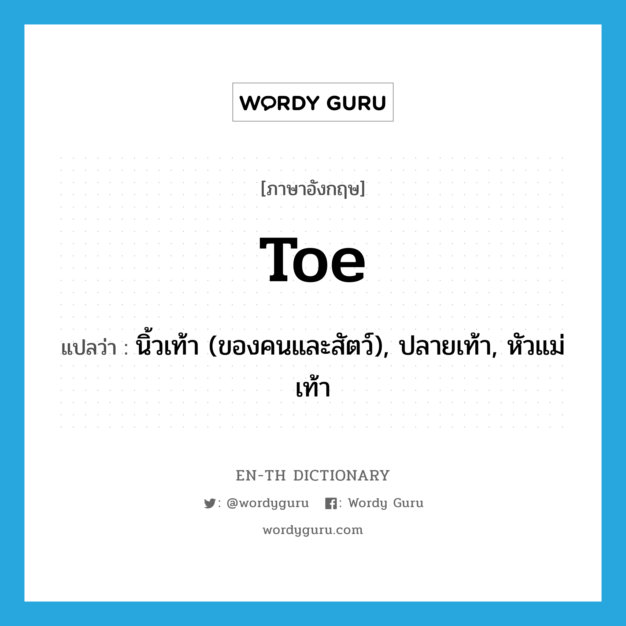 toe แปลว่า?, คำศัพท์ภาษาอังกฤษ toe แปลว่า นิ้วเท้า (ของคนและสัตว์), ปลายเท้า, หัวแม่เท้า ประเภท N หมวด N