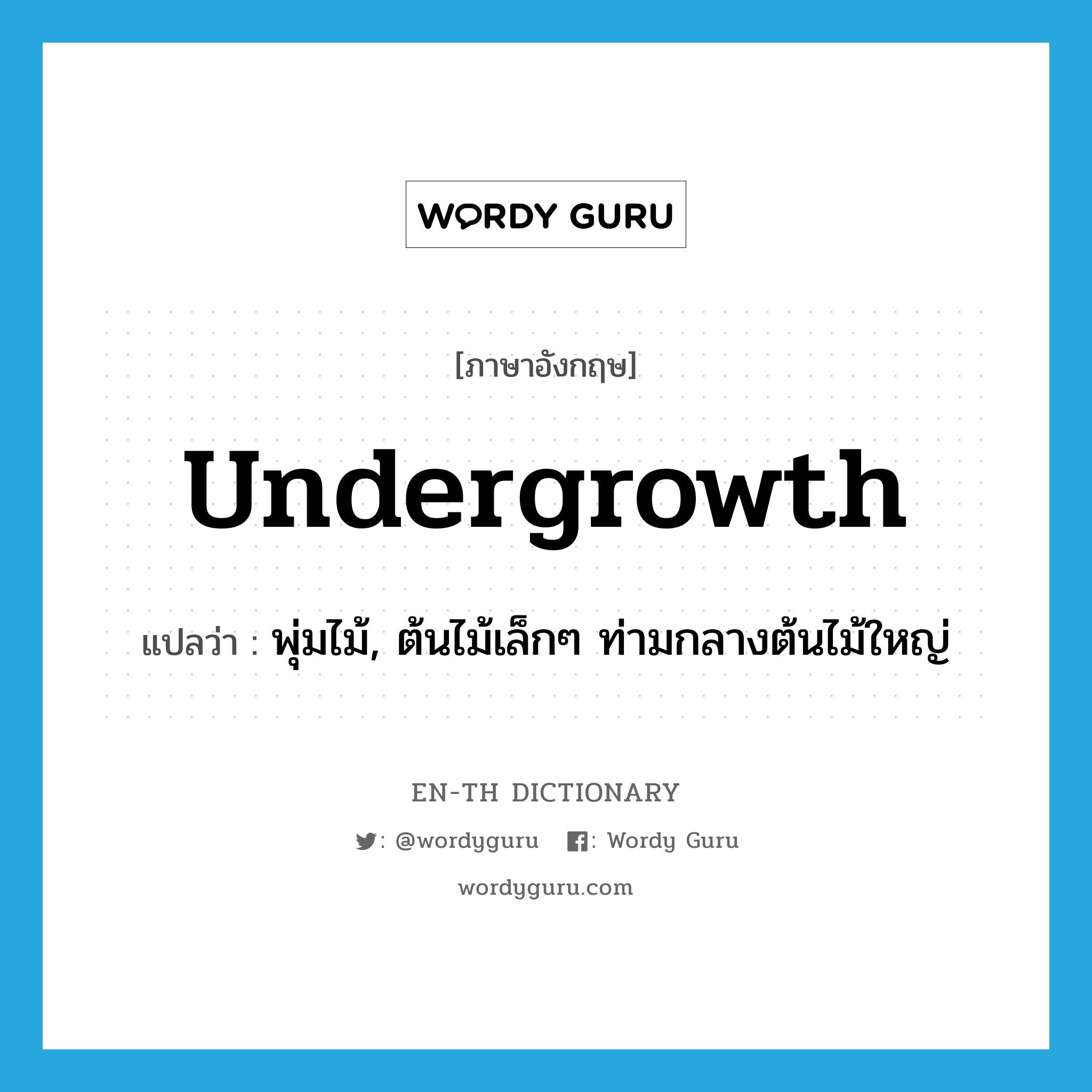 undergrowth แปลว่า?, คำศัพท์ภาษาอังกฤษ undergrowth แปลว่า พุ่มไม้, ต้นไม้เล็กๆ ท่ามกลางต้นไม้ใหญ่ ประเภท N หมวด N