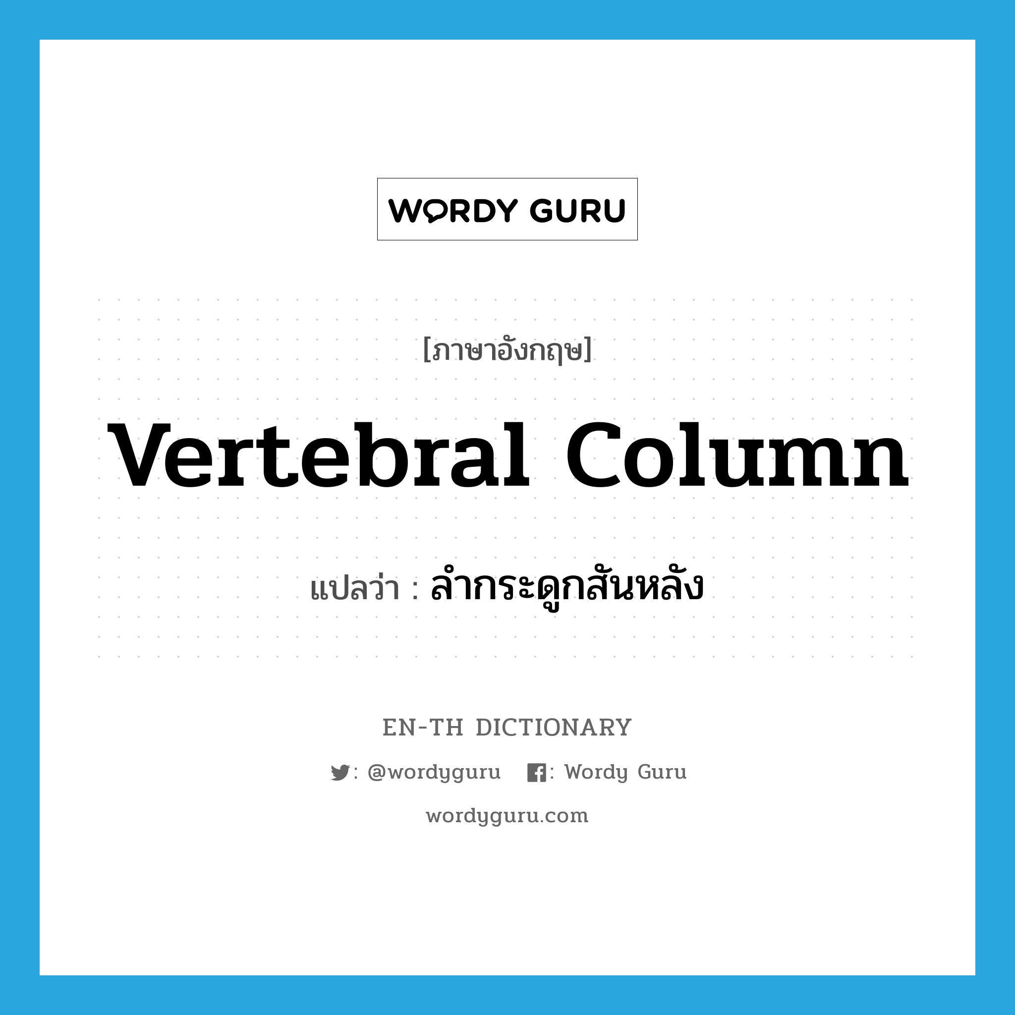 vertebral column แปลว่า?, คำศัพท์ภาษาอังกฤษ vertebral column แปลว่า ลำกระดูกสันหลัง ประเภท N หมวด N