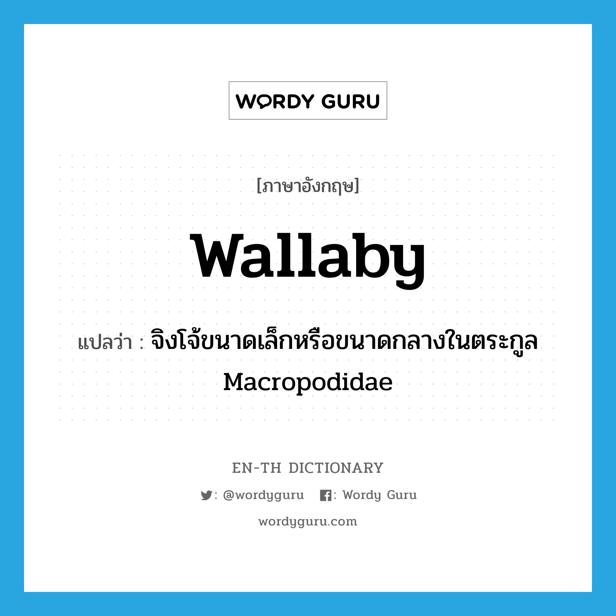 wallaby แปลว่า?, คำศัพท์ภาษาอังกฤษ wallaby แปลว่า จิงโจ้ขนาดเล็กหรือขนาดกลางในตระกูล Macropodidae ประเภท N หมวด N