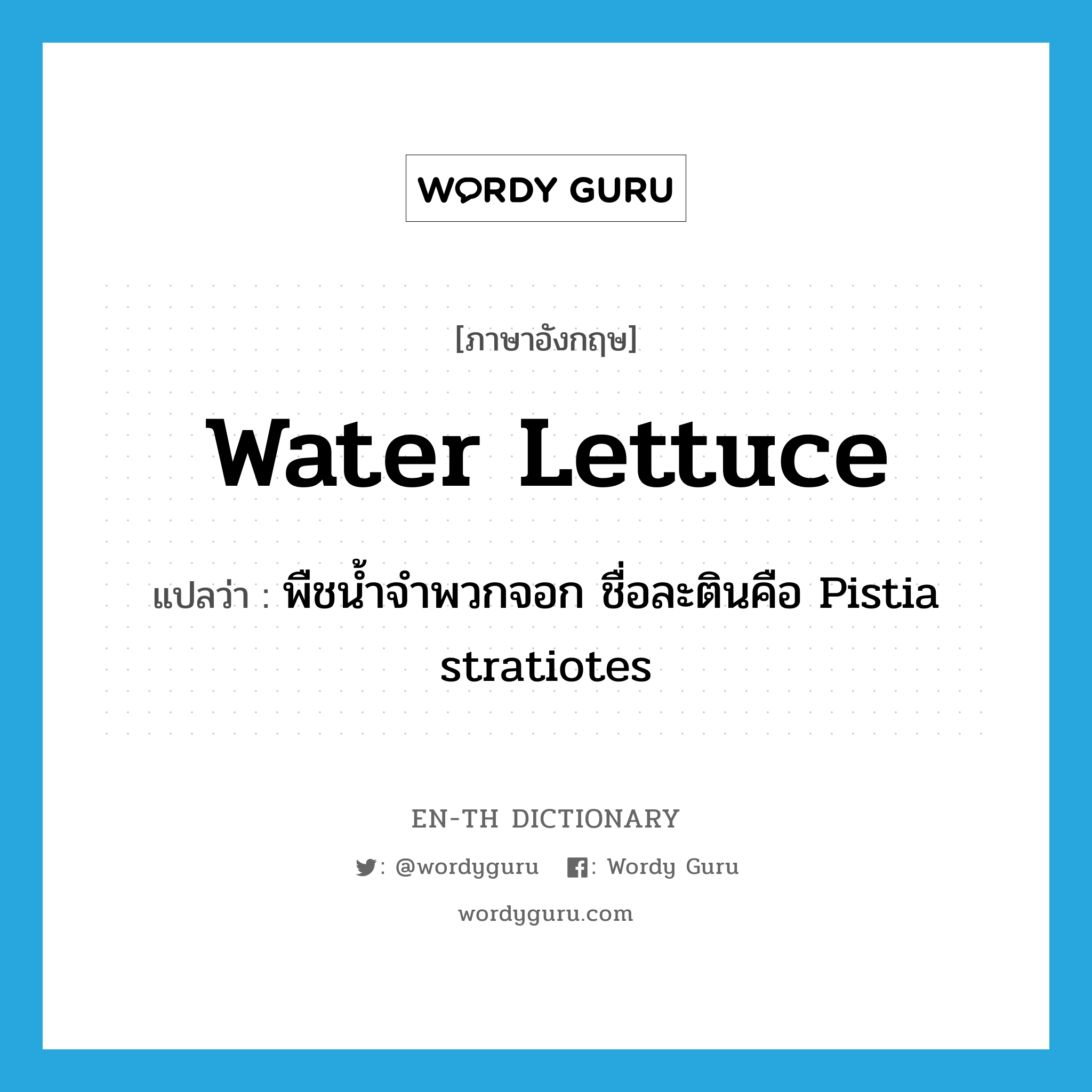 water lettuce แปลว่า?, คำศัพท์ภาษาอังกฤษ water lettuce แปลว่า พืชน้ำจำพวกจอก ชื่อละตินคือ Pistia stratiotes ประเภท N หมวด N