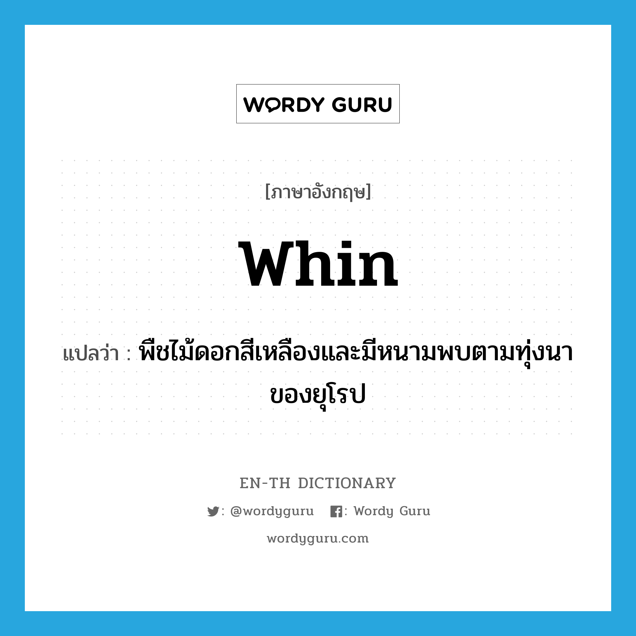 whin แปลว่า?, คำศัพท์ภาษาอังกฤษ whin แปลว่า พืชไม้ดอกสีเหลืองและมีหนามพบตามทุ่งนาของยุโรป ประเภท N หมวด N