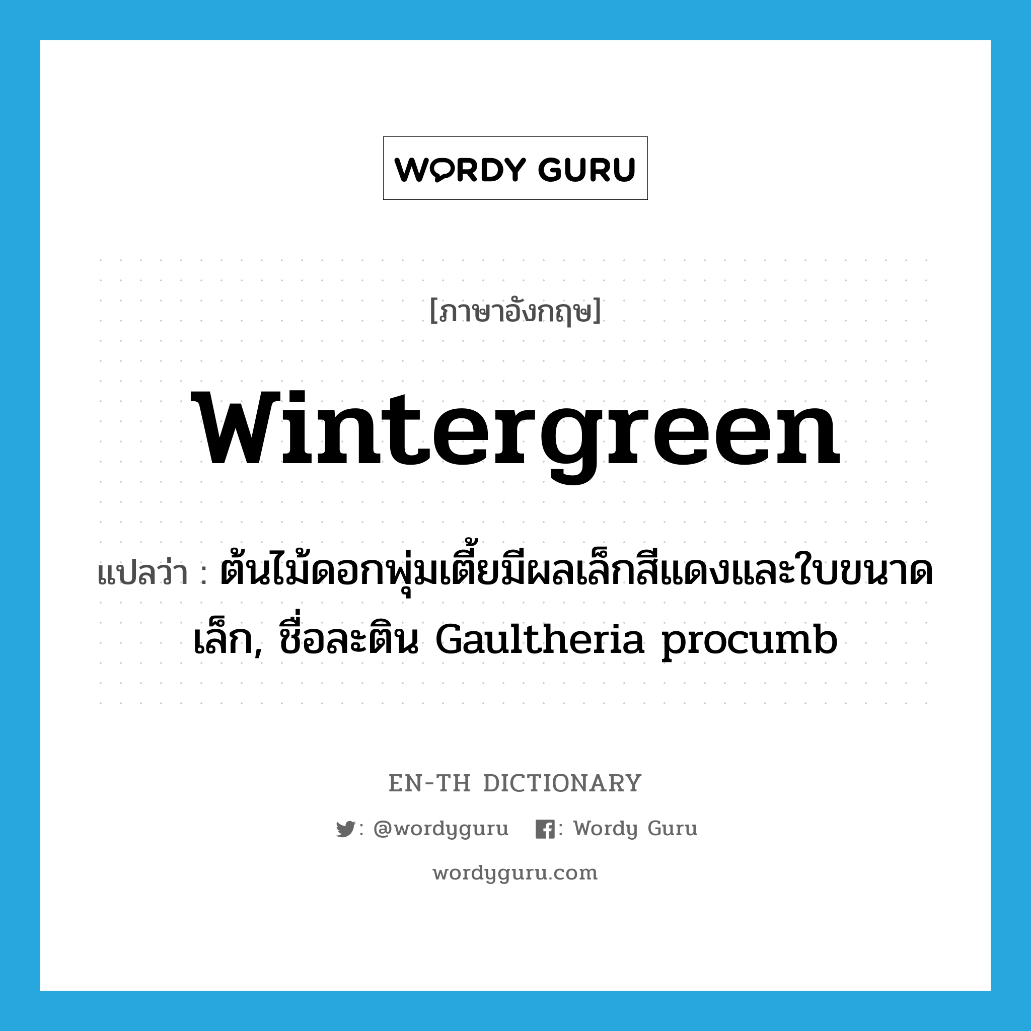 wintergreen แปลว่า?, คำศัพท์ภาษาอังกฤษ wintergreen แปลว่า ต้นไม้ดอกพุ่มเตี้ยมีผลเล็กสีแดงและใบขนาดเล็ก, ชื่อละติน Gaultheria procumb ประเภท N หมวด N