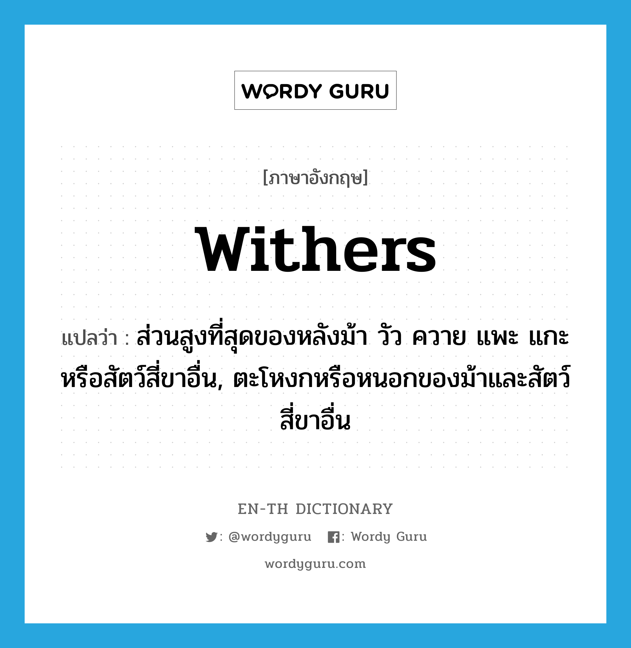 withers แปลว่า?, คำศัพท์ภาษาอังกฤษ withers แปลว่า ส่วนสูงที่สุดของหลังม้า วัว ควาย แพะ แกะหรือสัตว์สี่ขาอื่น, ตะโหงกหรือหนอกของม้าและสัตว์สี่ขาอื่น ประเภท N หมวด N