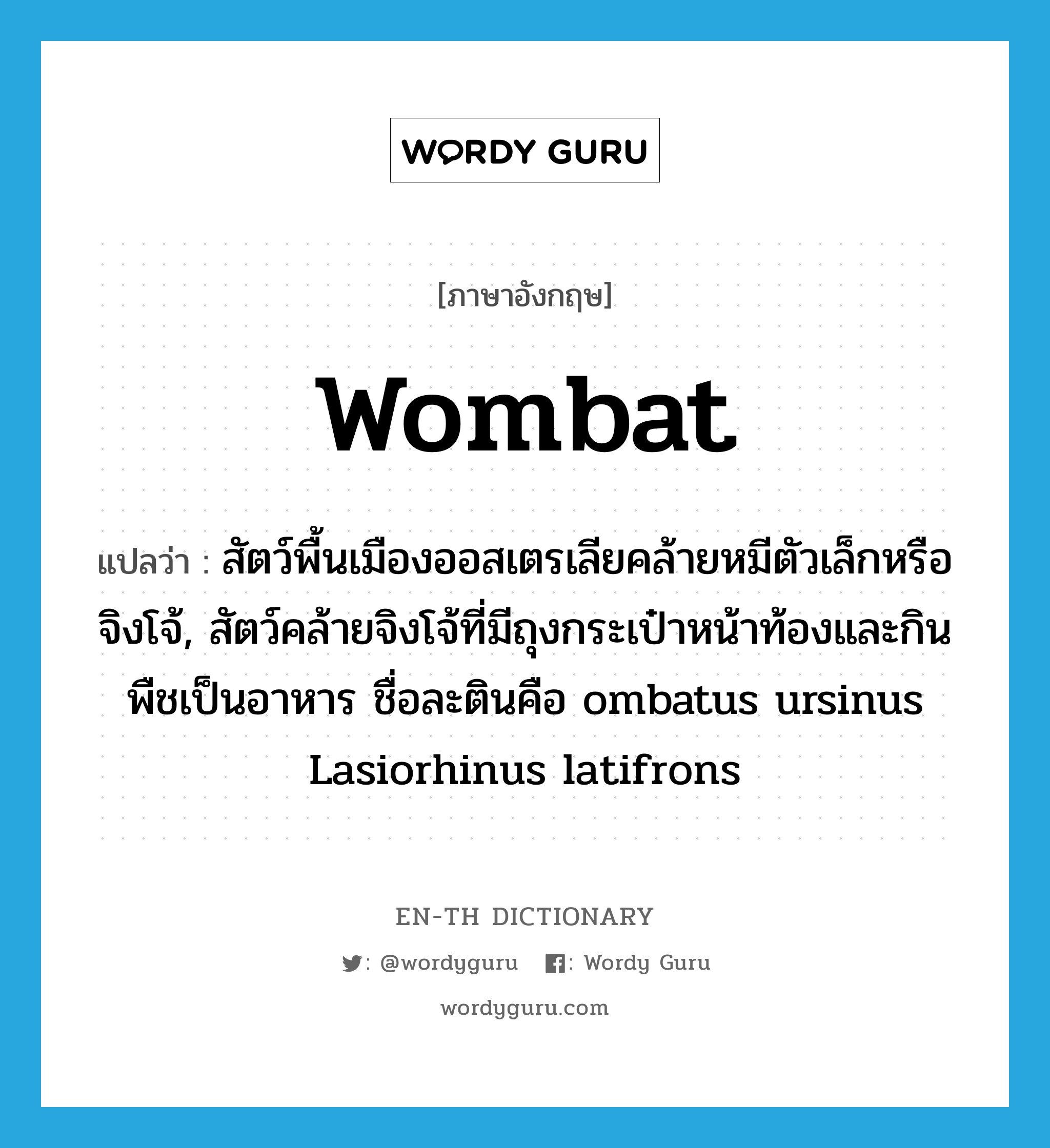 wombat แปลว่า?, คำศัพท์ภาษาอังกฤษ wombat แปลว่า สัตว์พื้นเมืองออสเตรเลียคล้ายหมีตัวเล็กหรือจิงโจ้, สัตว์คล้ายจิงโจ้ที่มีถุงกระเป๋าหน้าท้องและกินพืชเป็นอาหาร ชื่อละตินคือ ombatus ursinus Lasiorhinus latifrons ประเภท N หมวด N