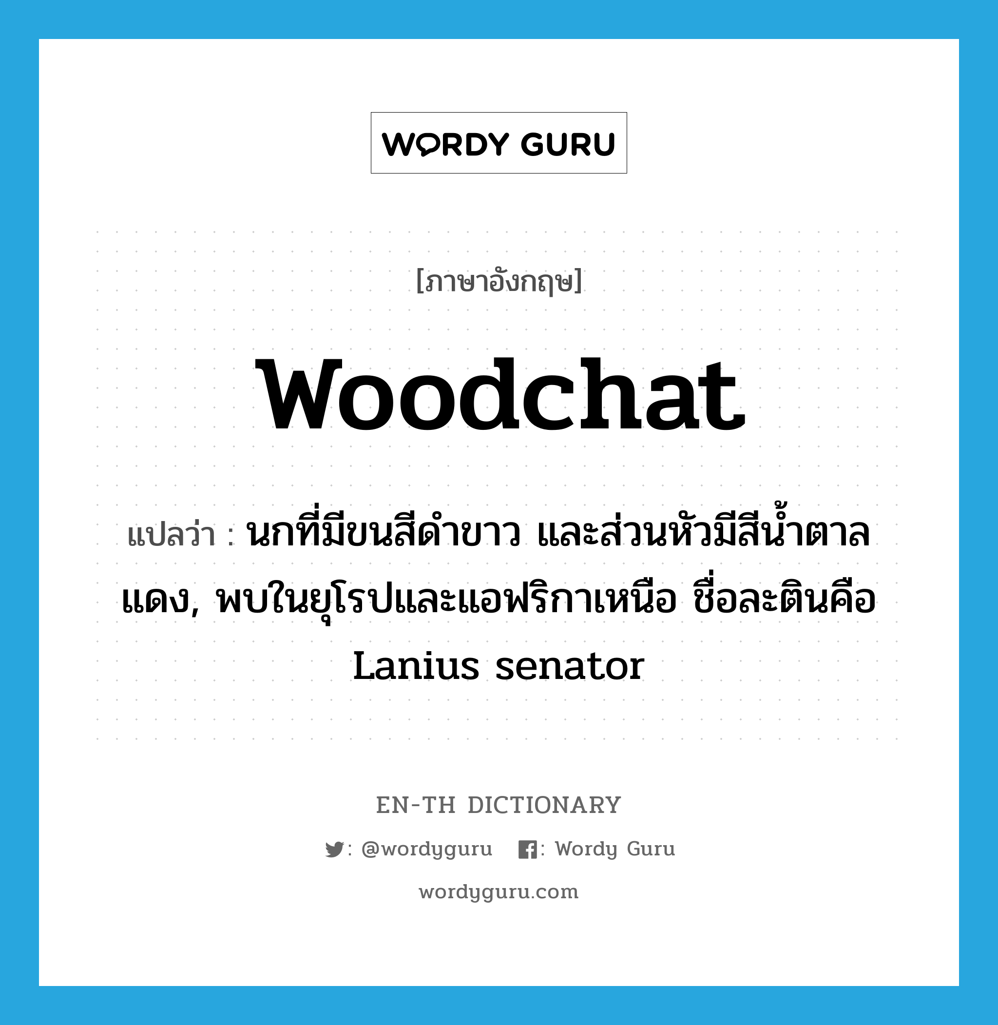 woodchat แปลว่า?, คำศัพท์ภาษาอังกฤษ woodchat แปลว่า นกที่มีขนสีดำขาว และส่วนหัวมีสีน้ำตาลแดง, พบในยุโรปและแอฟริกาเหนือ ชื่อละตินคือ Lanius senator ประเภท N หมวด N