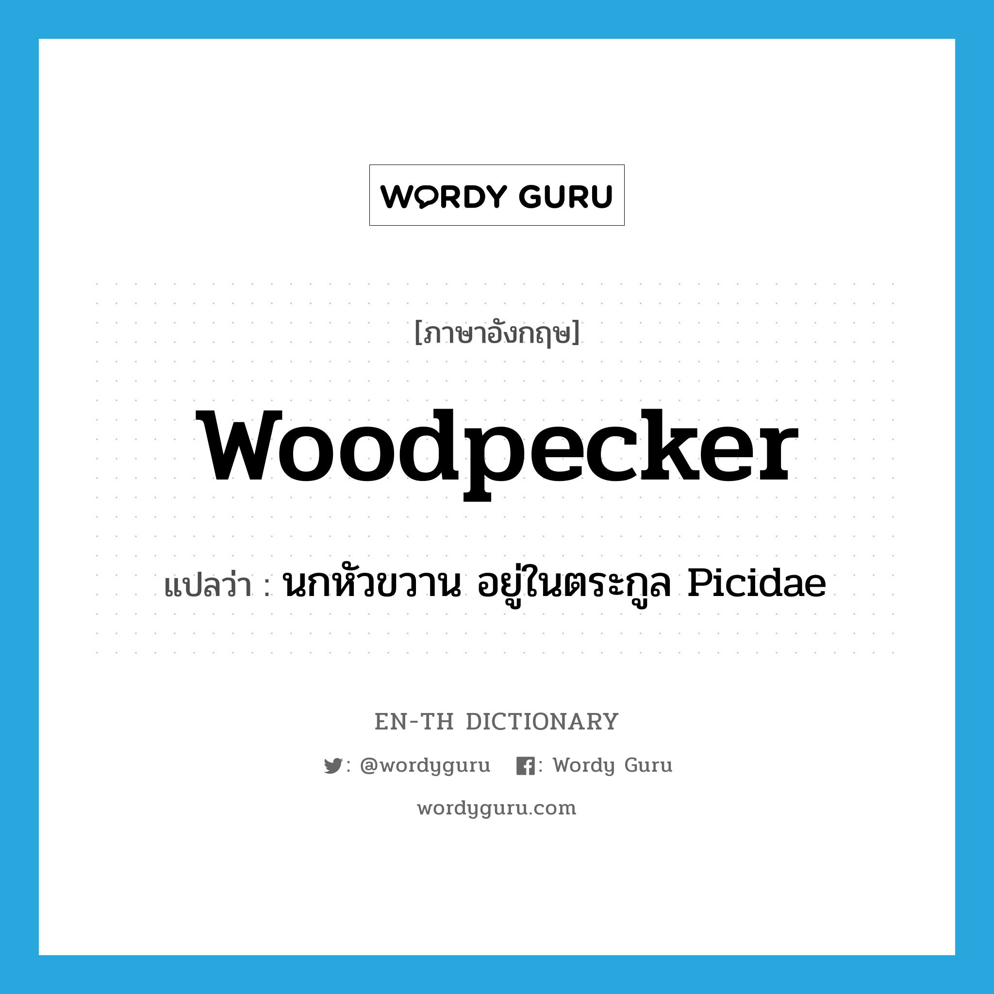 woodpecker แปลว่า?, คำศัพท์ภาษาอังกฤษ woodpecker แปลว่า นกหัวขวาน อยู่ในตระกูล Picidae ประเภท N หมวด N