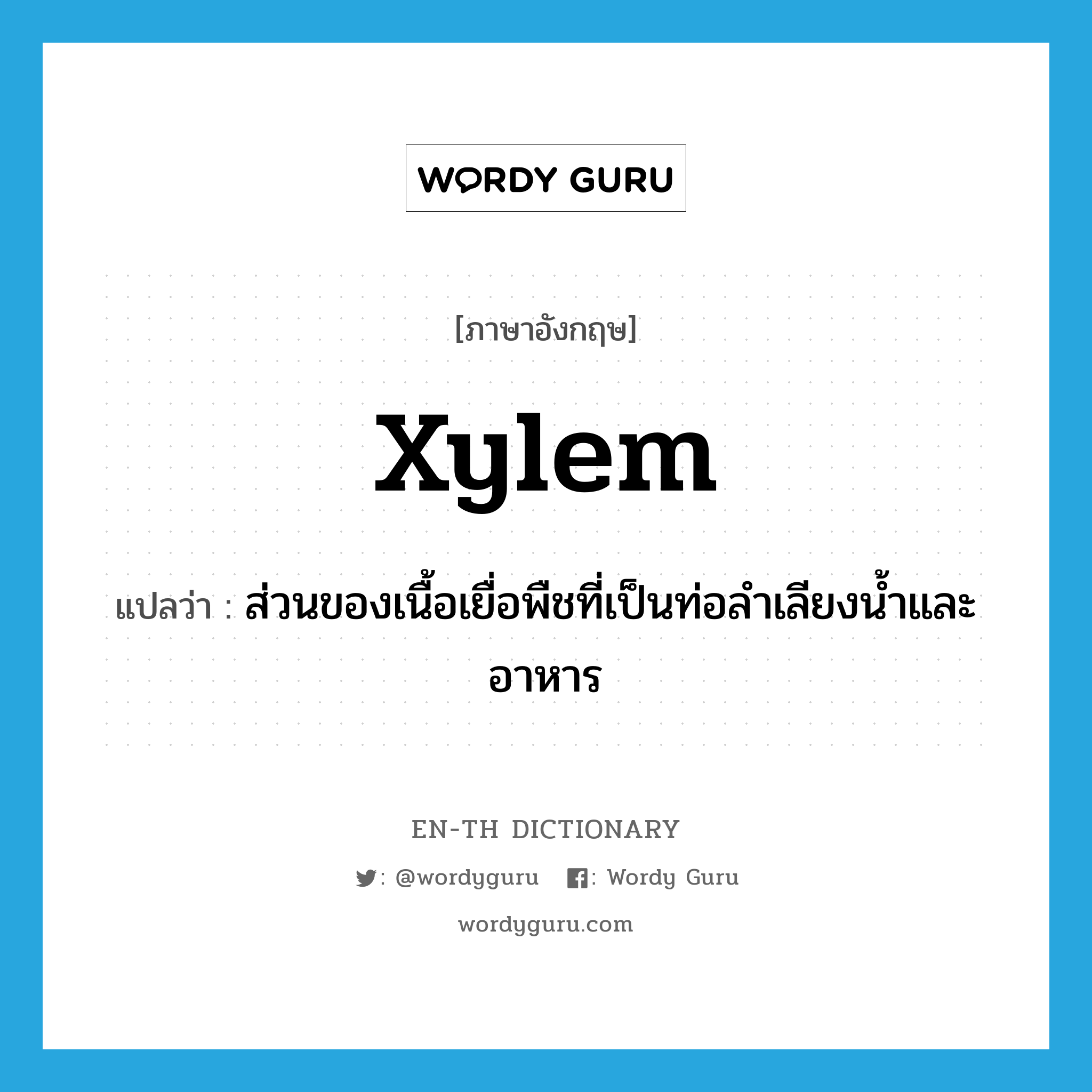 xylem แปลว่า?, คำศัพท์ภาษาอังกฤษ xylem แปลว่า ส่วนของเนื้อเยื่อพืชที่เป็นท่อลำเลียงน้ำและอาหาร ประเภท N หมวด N