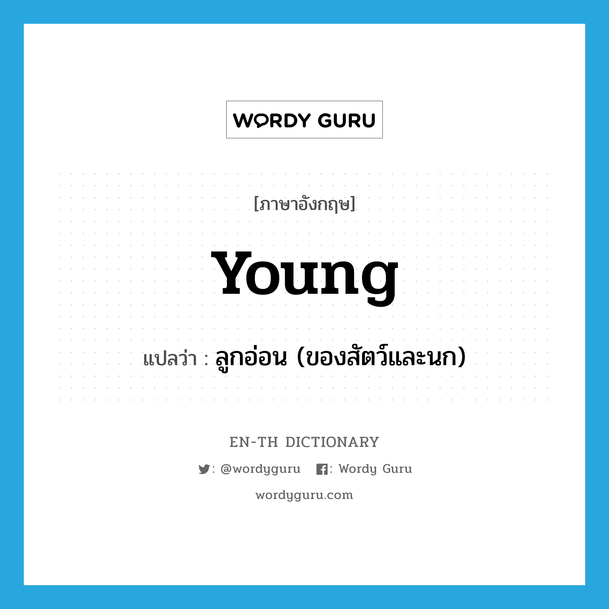 young แปลว่า?, คำศัพท์ภาษาอังกฤษ young แปลว่า ลูกอ่อน (ของสัตว์และนก) ประเภท N หมวด N