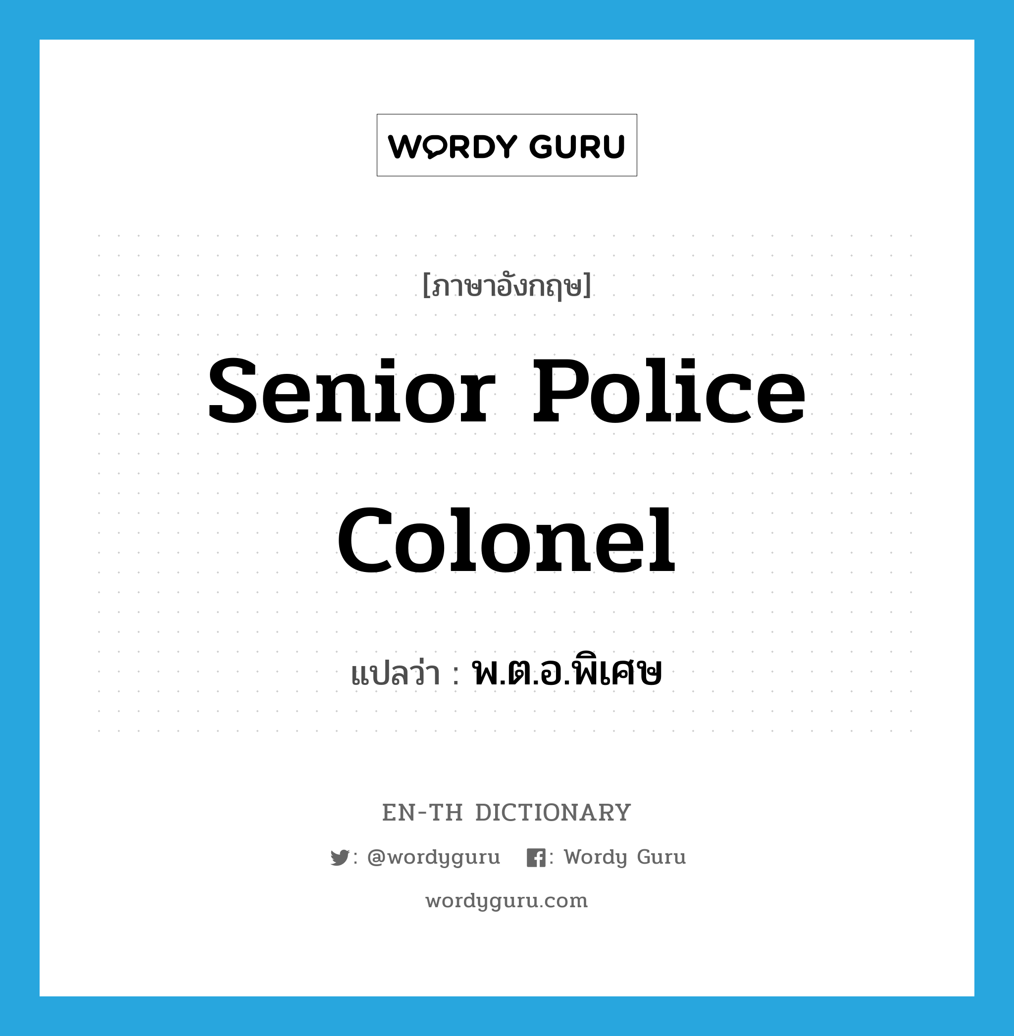 senior police colonel แปลว่า?, คำศัพท์ภาษาอังกฤษ senior police colonel แปลว่า พ.ต.อ.พิเศษ ประเภท N หมวด N