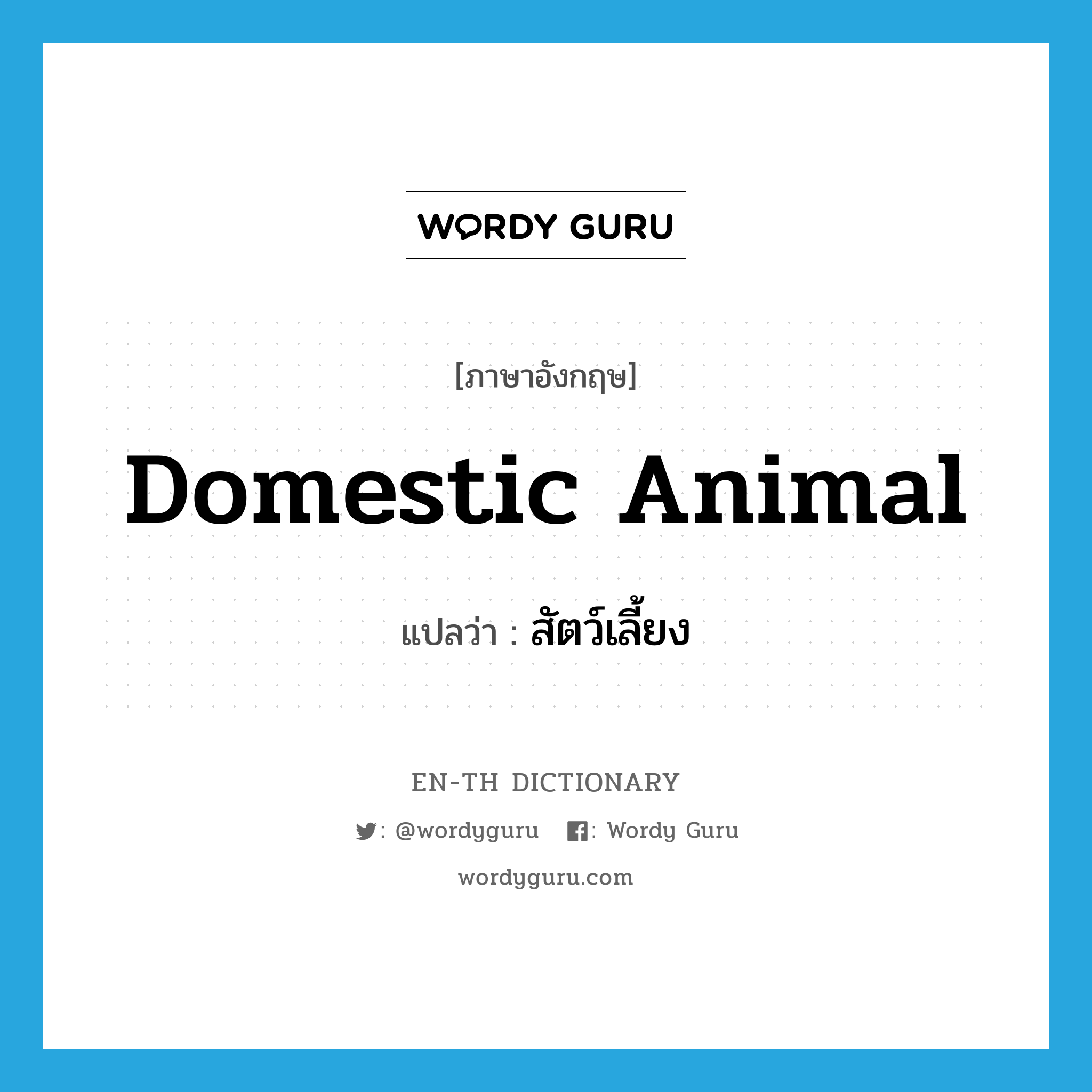 domestic animal แปลว่า?, คำศัพท์ภาษาอังกฤษ domestic animal แปลว่า สัตว์เลี้ยง ประเภท N หมวด N