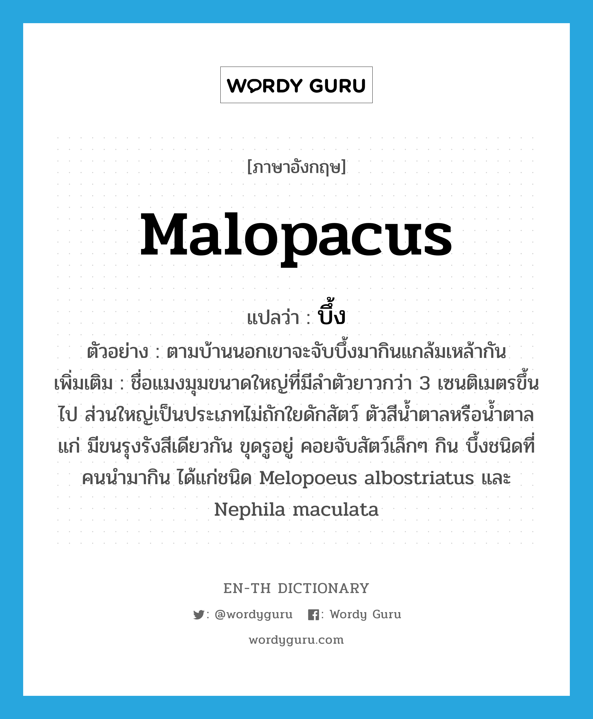 malopacus แปลว่า?, คำศัพท์ภาษาอังกฤษ malopacus แปลว่า บึ้ง ประเภท N ตัวอย่าง ตามบ้านนอกเขาจะจับบึ้งมากินแกล้มเหล้ากัน เพิ่มเติม ชื่อแมงมุมขนาดใหญ่ที่มีลำตัวยาวกว่า 3 เซนติเมตรขึ้นไป ส่วนใหญ่เป็นประเภทไม่ถักใยดักสัตว์ ตัวสีน้ำตาลหรือน้ำตาลแก่ มีขนรุงรังสีเดียวกัน ขุดรูอยู่ คอยจับสัตว์เล็กๆ กิน บึ้งชนิดที่คนนำมากิน ได้แก่ชนิด Melopoeus albostriatus และ Nephila maculata หมวด N