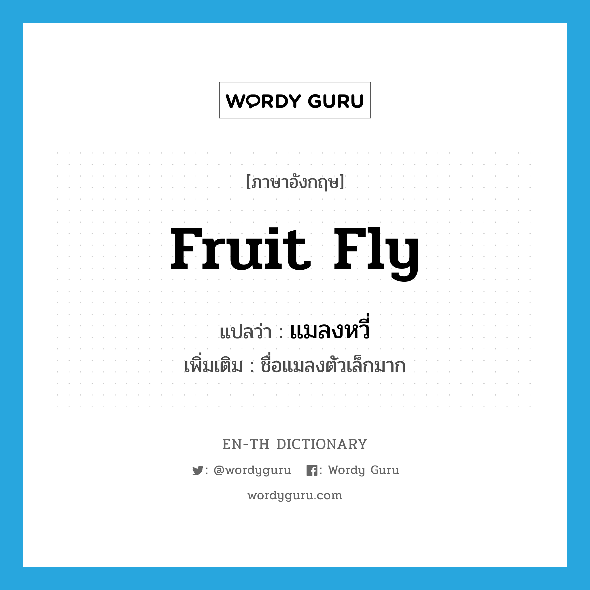 fruit fly แปลว่า?, คำศัพท์ภาษาอังกฤษ fruit fly แปลว่า แมลงหวี่ ประเภท N เพิ่มเติม ชื่อแมลงตัวเล็กมาก หมวด N