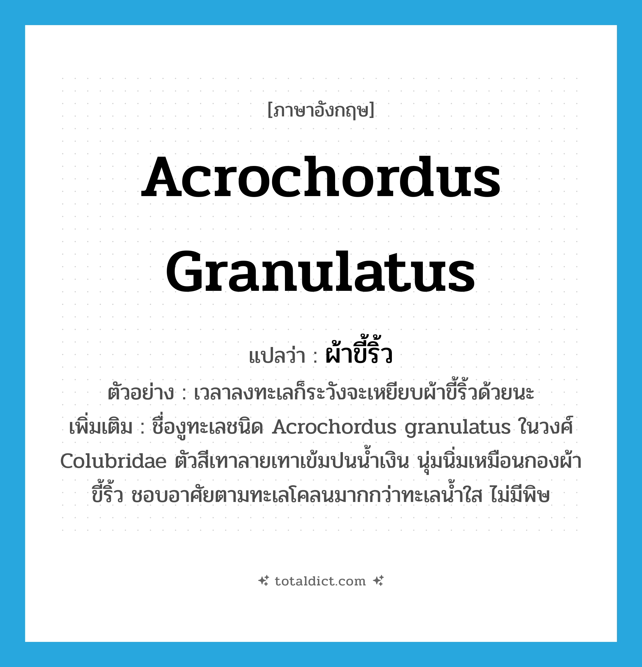 Acrochordus granulatus แปลว่า?, คำศัพท์ภาษาอังกฤษ Acrochordus granulatus แปลว่า ผ้าขี้ริ้ว ประเภท N ตัวอย่าง เวลาลงทะเลก็ระวังจะเหยียบผ้าขี้ริ้วด้วยนะ เพิ่มเติม ชื่องูทะเลชนิด Acrochordus granulatus ในวงศ์ Colubridae ตัวสีเทาลายเทาเข้มปนน้ำเงิน นุ่มนิ่มเหมือนกองผ้าขี้ริ้ว ชอบอาศัยตามทะเลโคลนมากกว่าทะเลน้ำใส ไม่มีพิษ หมวด N