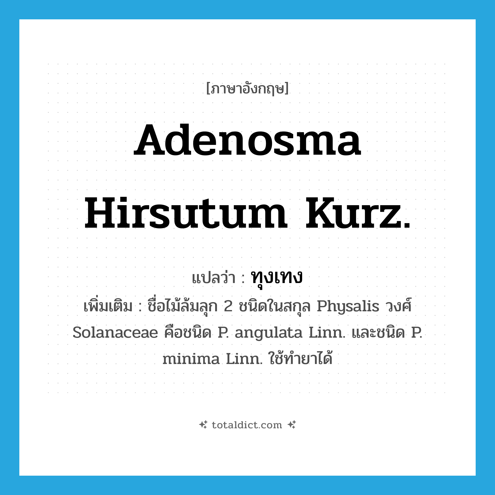 Adenosma hirsutum Kurz. แปลว่า?, คำศัพท์ภาษาอังกฤษ Adenosma hirsutum Kurz. แปลว่า ทุงเทง ประเภท N เพิ่มเติม ชื่อไม้ล้มลุก 2 ชนิดในสกุล Physalis วงศ์ Solanaceae คือชนิด P. angulata Linn. และชนิด P. minima Linn. ใช้ทำยาได้ หมวด N