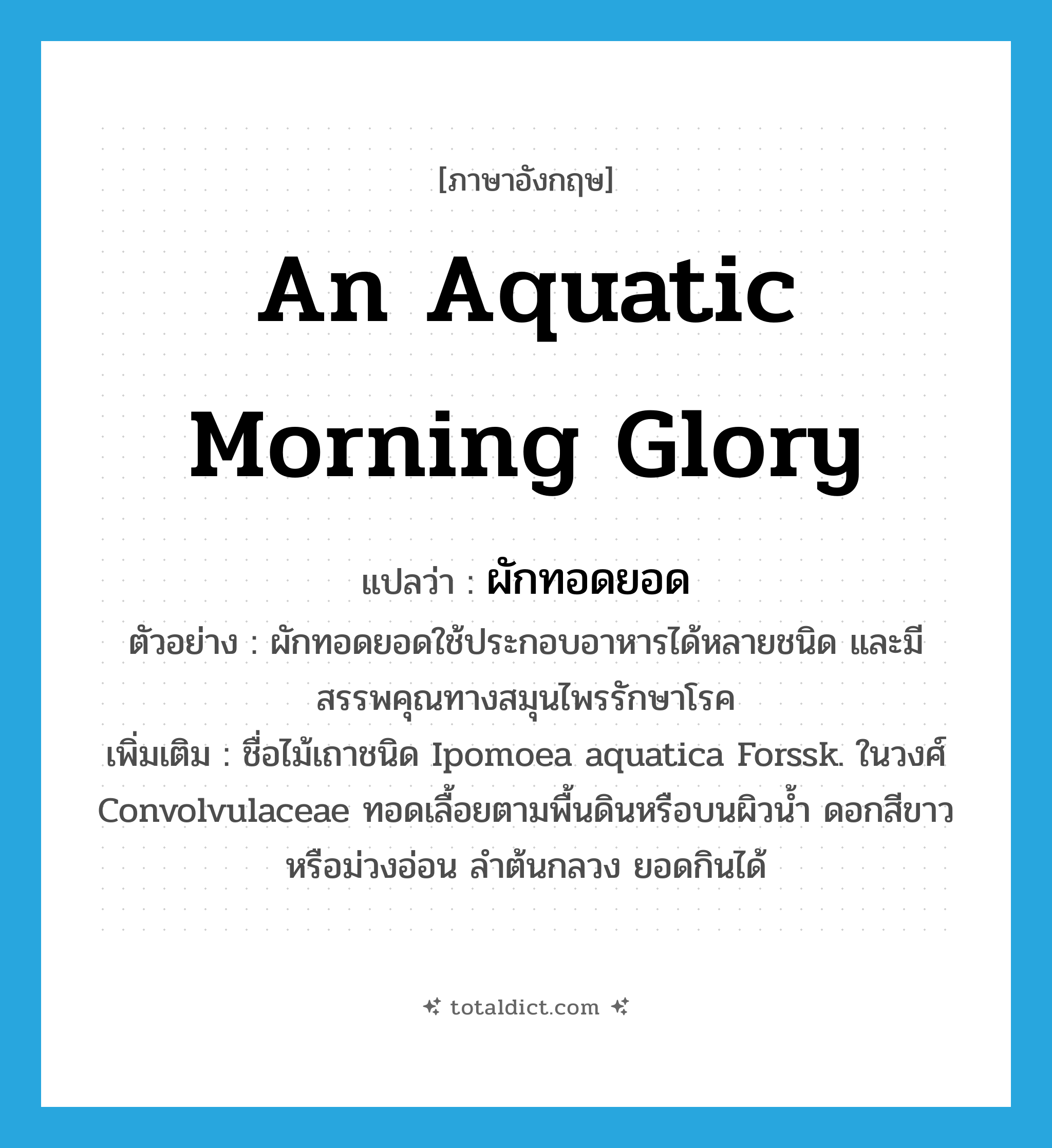 an aquatic morning glory แปลว่า?, คำศัพท์ภาษาอังกฤษ an aquatic morning glory แปลว่า ผักทอดยอด ประเภท N ตัวอย่าง ผักทอดยอดใช้ประกอบอาหารได้หลายชนิด และมีสรรพคุณทางสมุนไพรรักษาโรค เพิ่มเติม ชื่อไม้เถาชนิด Ipomoea aquatica Forssk. ในวงศ์ Convolvulaceae ทอดเลื้อยตามพื้นดินหรือบนผิวน้ำ ดอกสีขาวหรือม่วงอ่อน ลำต้นกลวง ยอดกินได้ หมวด N