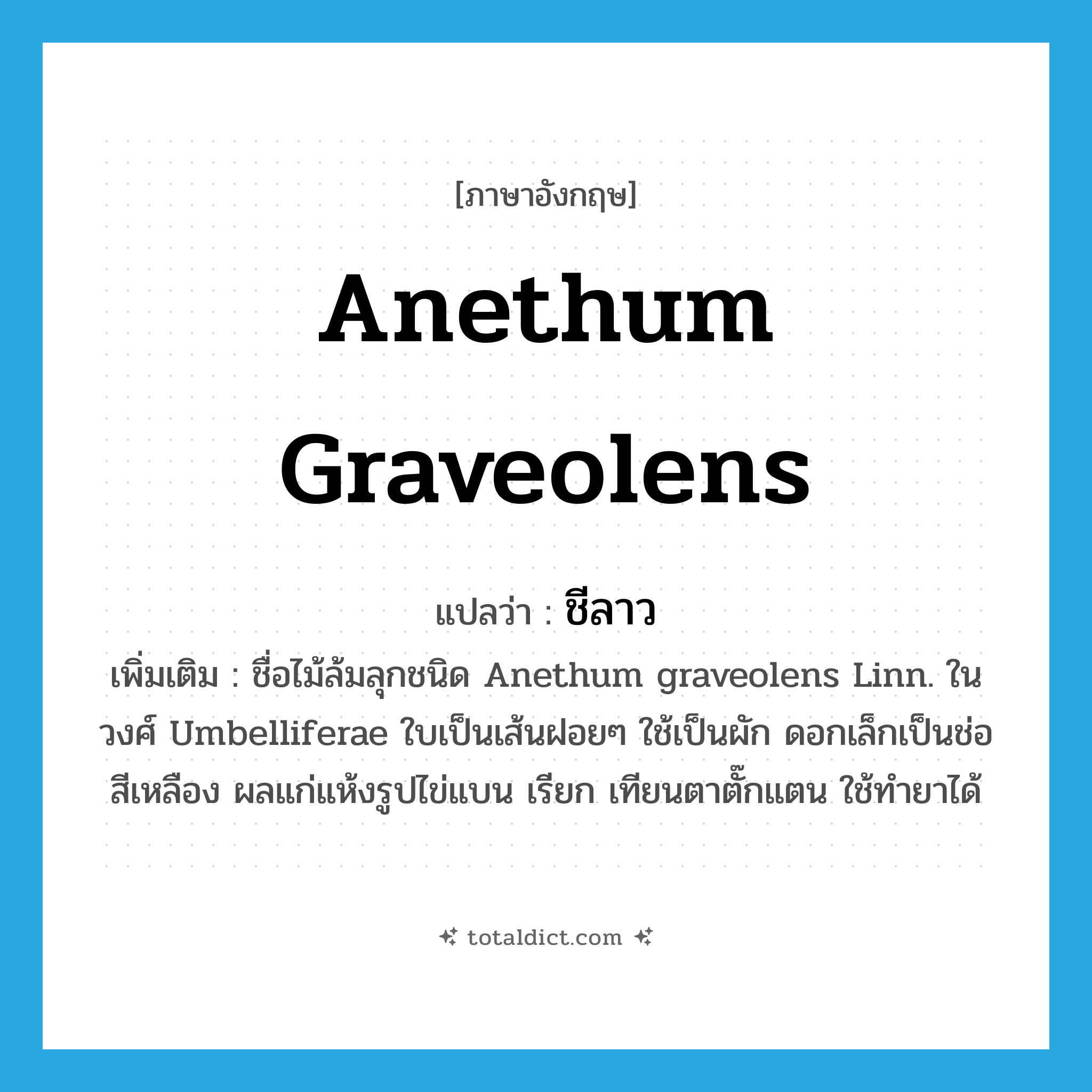 Anethum graveolens แปลว่า?, คำศัพท์ภาษาอังกฤษ Anethum graveolens แปลว่า ชีลาว ประเภท N เพิ่มเติม ชื่อไม้ล้มลุกชนิด Anethum graveolens Linn. ในวงศ์ Umbelliferae ใบเป็นเส้นฝอยๆ ใช้เป็นผัก ดอกเล็กเป็นช่อสีเหลือง ผลแก่แห้งรูปไข่แบน เรียก เทียนตาตั๊กแตน ใช้ทำยาได้ หมวด N