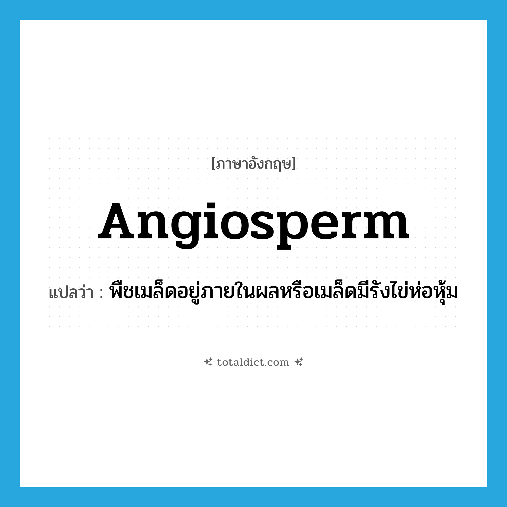 angiosperm แปลว่า?, คำศัพท์ภาษาอังกฤษ angiosperm แปลว่า พืชเมล็ดอยู่ภายในผลหรือเมล็ดมีรังไข่ห่อหุ้ม ประเภท N หมวด N