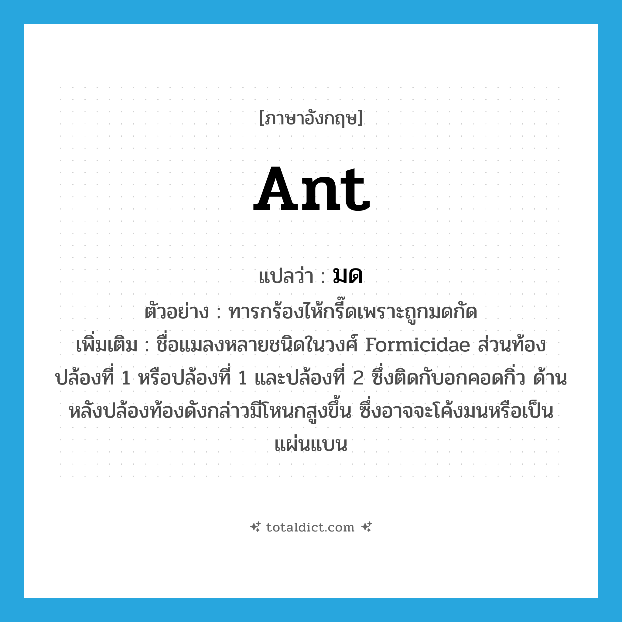 ant แปลว่า?, คำศัพท์ภาษาอังกฤษ ant แปลว่า มด ประเภท N ตัวอย่าง ทารกร้องไห้กรี๊ดเพราะถูกมดกัด เพิ่มเติม ชื่อแมลงหลายชนิดในวงศ์ Formicidae ส่วนท้องปล้องที่ 1 หรือปล้องที่ 1 และปล้องที่ 2 ซึ่งติดกับอกคอดกิ่ว ด้านหลังปล้องท้องดังกล่าวมีโหนกสูงขึ้น ซึ่งอาจจะโค้งมนหรือเป็นแผ่นแบน หมวด N