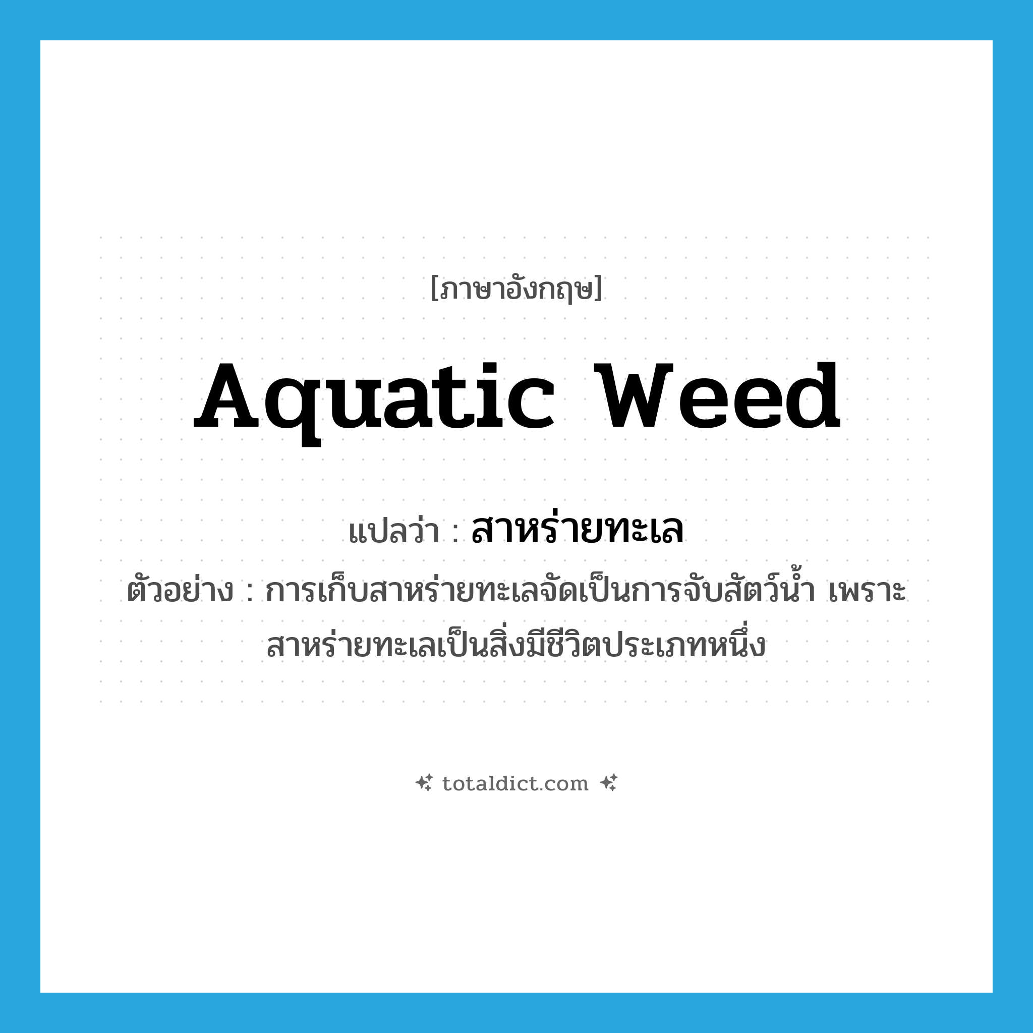 aquatic weed แปลว่า?, คำศัพท์ภาษาอังกฤษ aquatic weed แปลว่า สาหร่ายทะเล ประเภท N ตัวอย่าง การเก็บสาหร่ายทะเลจัดเป็นการจับสัตว์น้ำ เพราะสาหร่ายทะเลเป็นสิ่งมีชีวิตประเภทหนึ่ง หมวด N