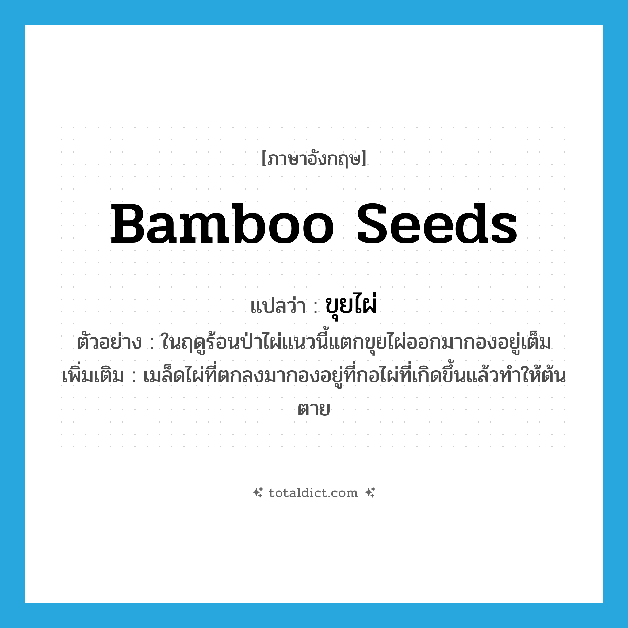 bamboo seeds แปลว่า?, คำศัพท์ภาษาอังกฤษ bamboo seeds แปลว่า ขุยไผ่ ประเภท N ตัวอย่าง ในฤดูร้อนป่าไผ่แนวนี้แตกขุยไผ่ออกมากองอยู่เต็ม เพิ่มเติม เมล็ดไผ่ที่ตกลงมากองอยู่ที่กอไผ่ที่เกิดขึ้นแล้วทำให้ต้นตาย หมวด N