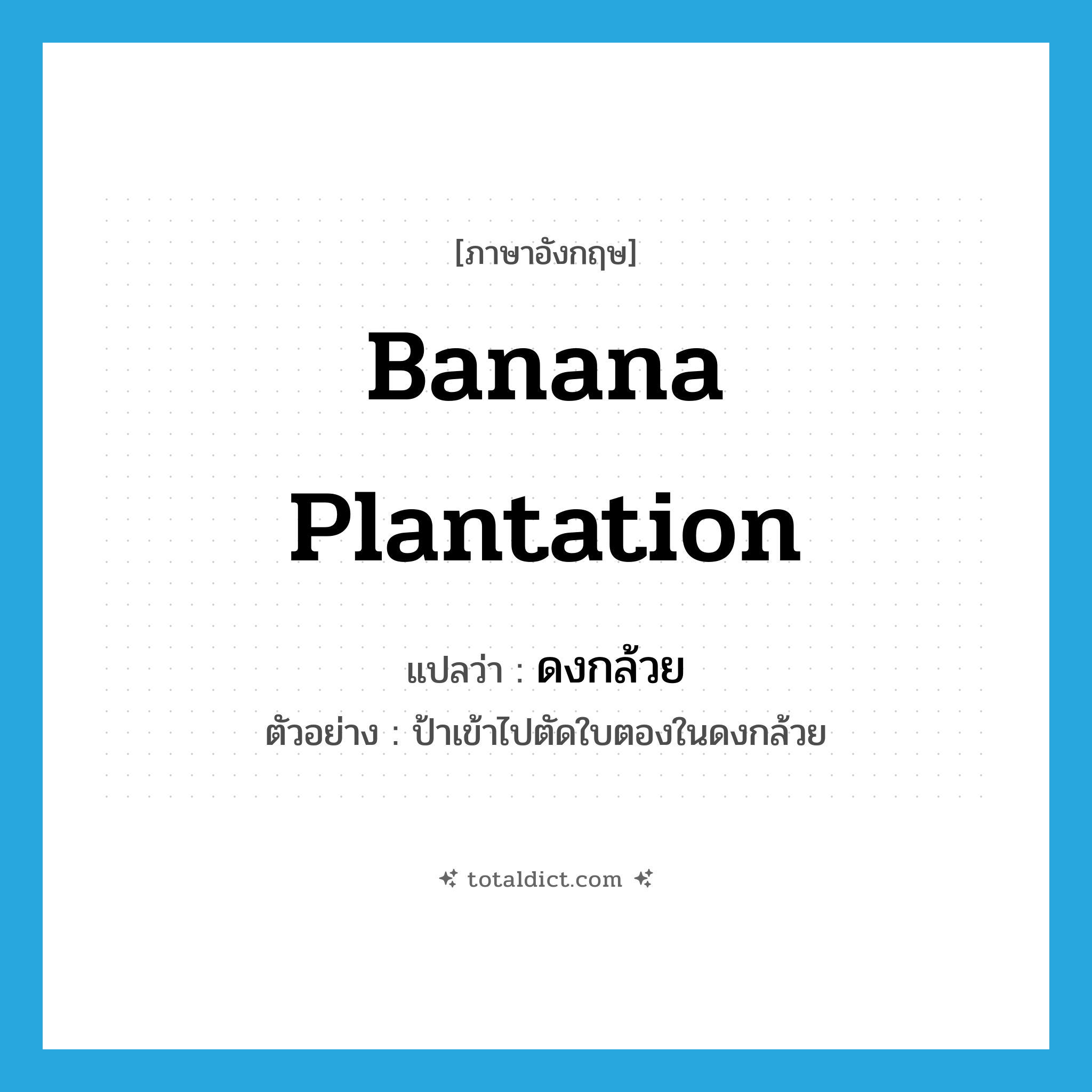 banana plantation แปลว่า?, คำศัพท์ภาษาอังกฤษ banana plantation แปลว่า ดงกล้วย ประเภท N ตัวอย่าง ป้าเข้าไปตัดใบตองในดงกล้วย หมวด N