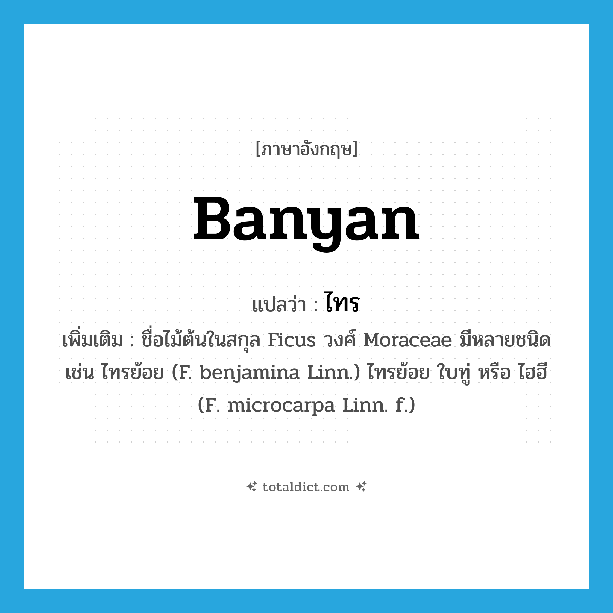 banyan แปลว่า?, คำศัพท์ภาษาอังกฤษ banyan แปลว่า ไทร ประเภท N เพิ่มเติม ชื่อไม้ต้นในสกุล Ficus วงศ์ Moraceae มีหลายชนิด เช่น ไทรย้อย (F. benjamina Linn.) ไทรย้อย ใบทู่ หรือ ไฮฮี (F. microcarpa Linn. f.) หมวด N