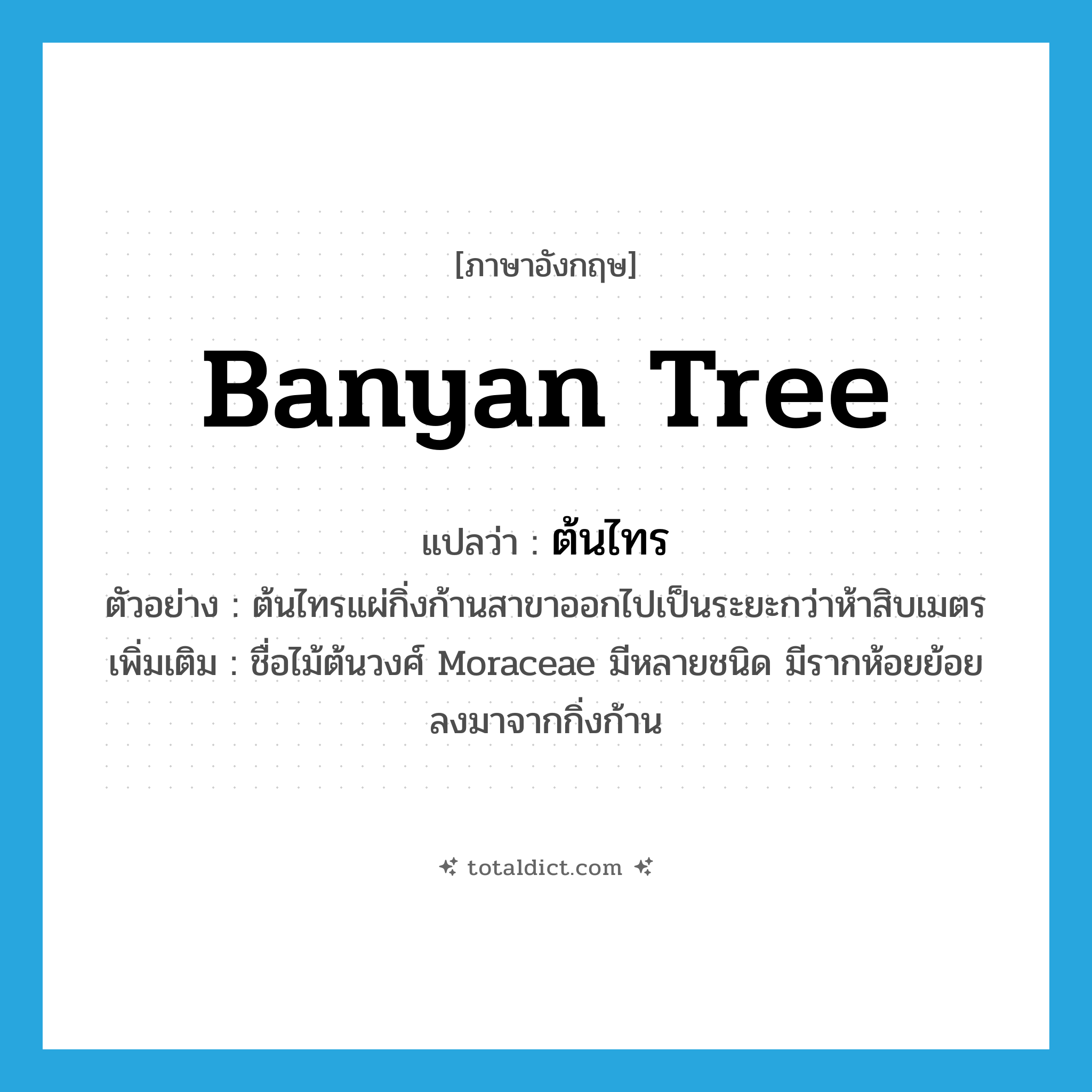 banyan tree แปลว่า?, คำศัพท์ภาษาอังกฤษ banyan tree แปลว่า ต้นไทร ประเภท N ตัวอย่าง ต้นไทรแผ่กิ่งก้านสาขาออกไปเป็นระยะกว่าห้าสิบเมตร เพิ่มเติม ชื่อไม้ต้นวงศ์ Moraceae มีหลายชนิด มีรากห้อยย้อยลงมาจากกิ่งก้าน หมวด N