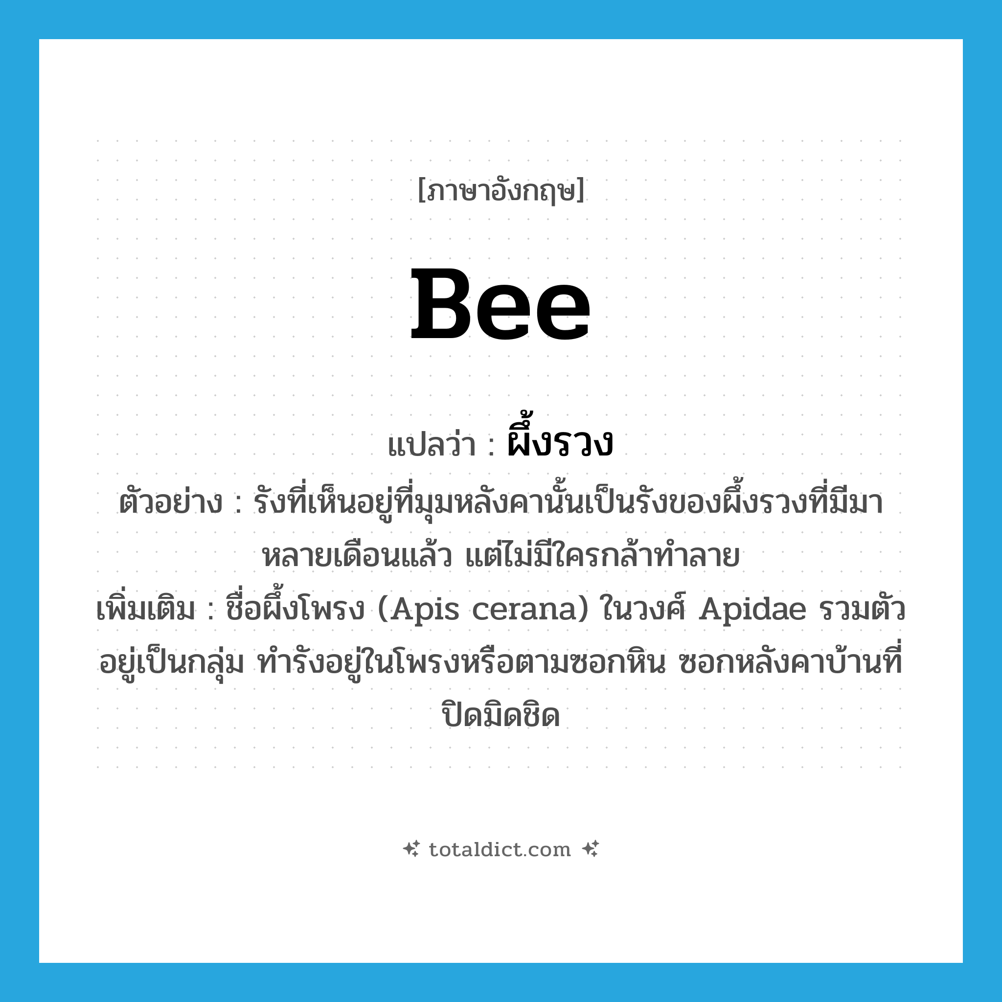 bee แปลว่า?, คำศัพท์ภาษาอังกฤษ bee แปลว่า ผึ้งรวง ประเภท N ตัวอย่าง รังที่เห็นอยู่ที่มุมหลังคานั้นเป็นรังของผึ้งรวงที่มีมาหลายเดือนแล้ว แต่ไม่มีใครกล้าทำลาย เพิ่มเติม ชื่อผึ้งโพรง (Apis cerana) ในวงศ์ Apidae รวมตัวอยู่เป็นกลุ่ม ทำรังอยู่ในโพรงหรือตามซอกหิน ซอกหลังคาบ้านที่ปิดมิดชิด หมวด N