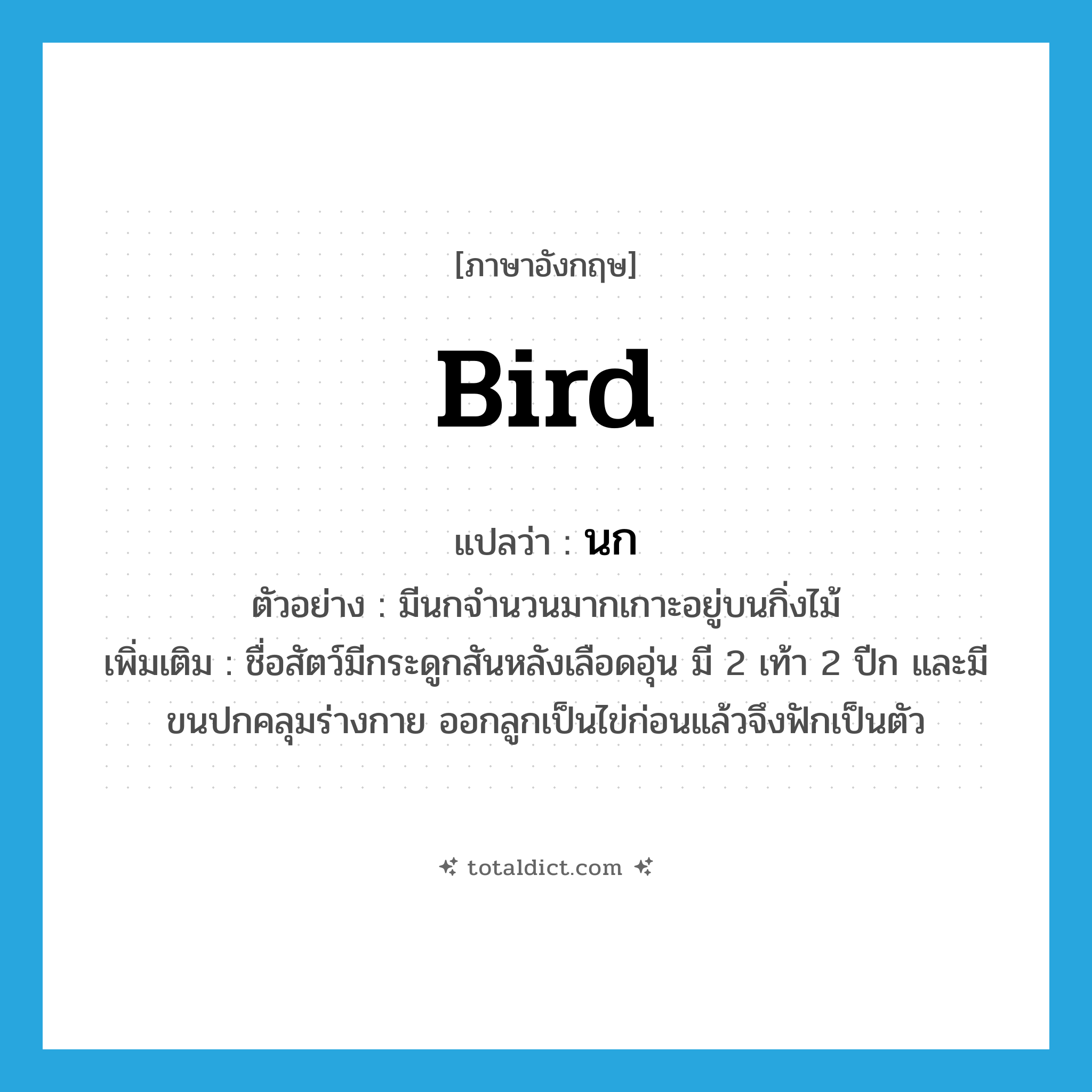 bird แปลว่า?, คำศัพท์ภาษาอังกฤษ bird แปลว่า นก ประเภท N ตัวอย่าง มีนกจำนวนมากเกาะอยู่บนกิ่งไม้ เพิ่มเติม ชื่อสัตว์มีกระดูกสันหลังเลือดอุ่น มี 2 เท้า 2 ปีก และมีขนปกคลุมร่างกาย ออกลูกเป็นไข่ก่อนแล้วจึงฟักเป็นตัว หมวด N