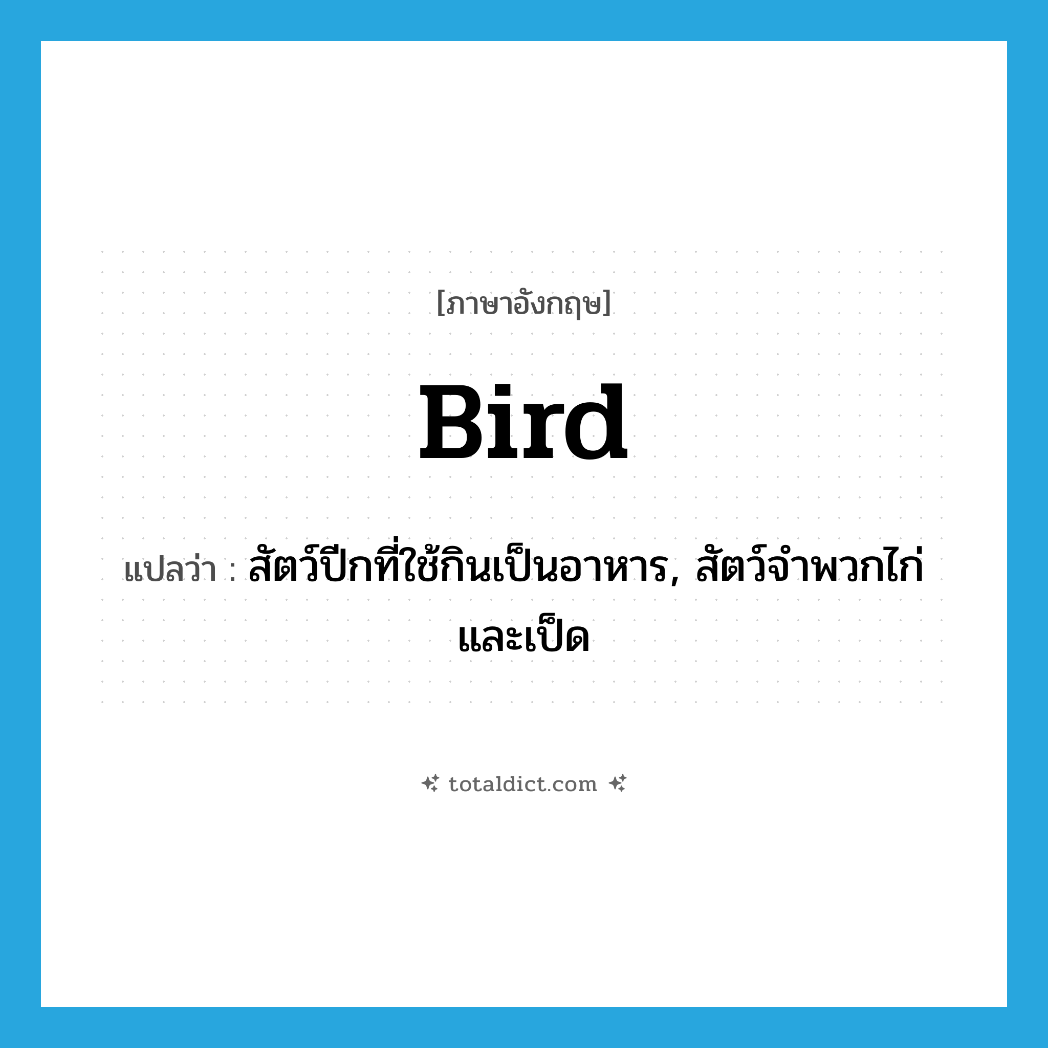 bird แปลว่า?, คำศัพท์ภาษาอังกฤษ bird แปลว่า สัตว์ปีกที่ใช้กินเป็นอาหาร, สัตว์จำพวกไก่และเป็ด ประเภท N หมวด N