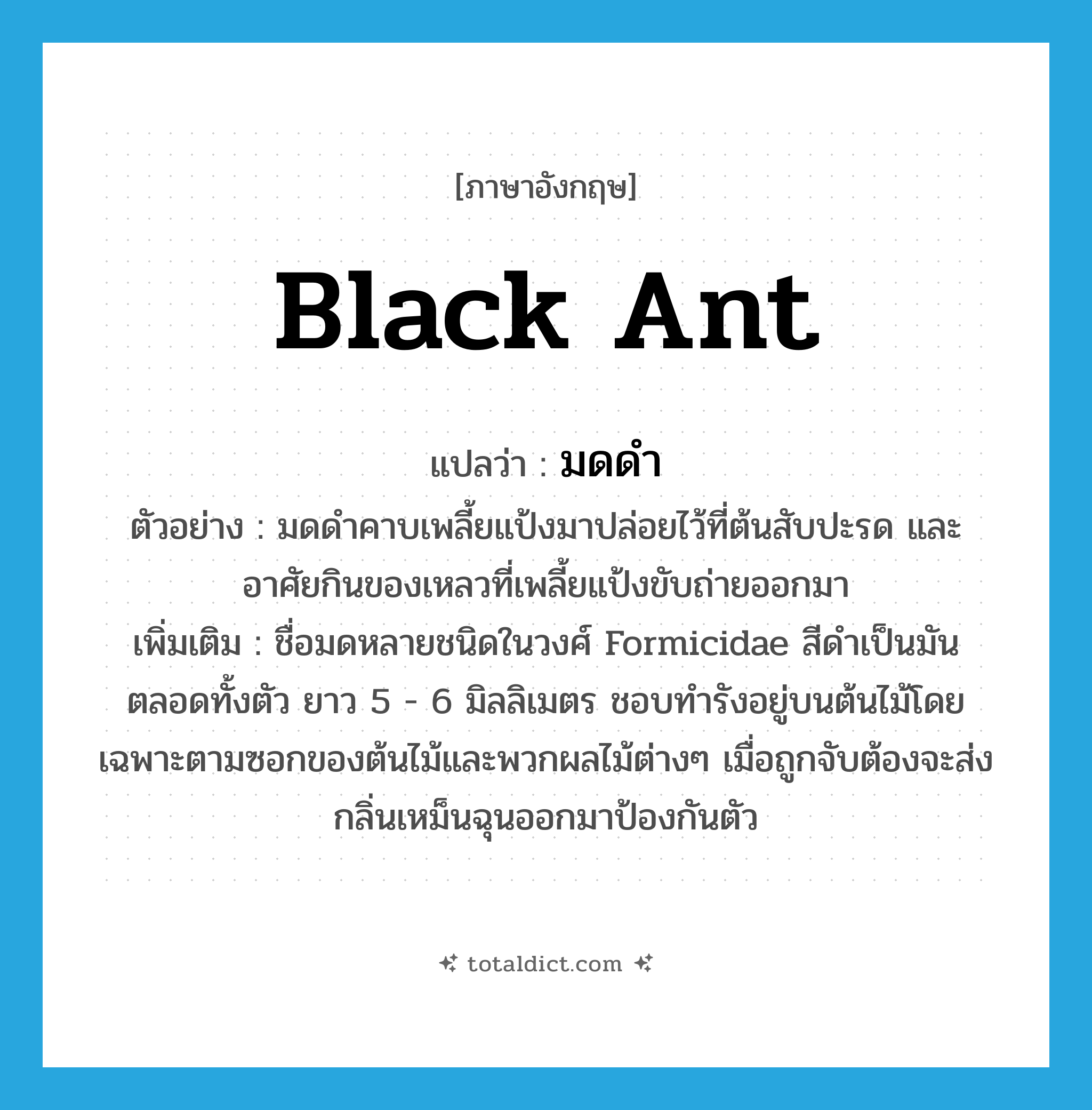 black ant แปลว่า?, คำศัพท์ภาษาอังกฤษ black ant แปลว่า มดดำ ประเภท N ตัวอย่าง มดดำคาบเพลี้ยแป้งมาปล่อยไว้ที่ต้นสับปะรด และอาศัยกินของเหลวที่เพลี้ยแป้งขับถ่ายออกมา เพิ่มเติม ชื่อมดหลายชนิดในวงศ์ Formicidae สีดำเป็นมันตลอดทั้งตัว ยาว 5 - 6 มิลลิเมตร ชอบทำรังอยู่บนต้นไม้โดยเฉพาะตามซอกของต้นไม้และพวกผลไม้ต่างๆ เมื่อถูกจับต้องจะส่งกลิ่นเหม็นฉุนออกมาป้องกันตัว หมวด N