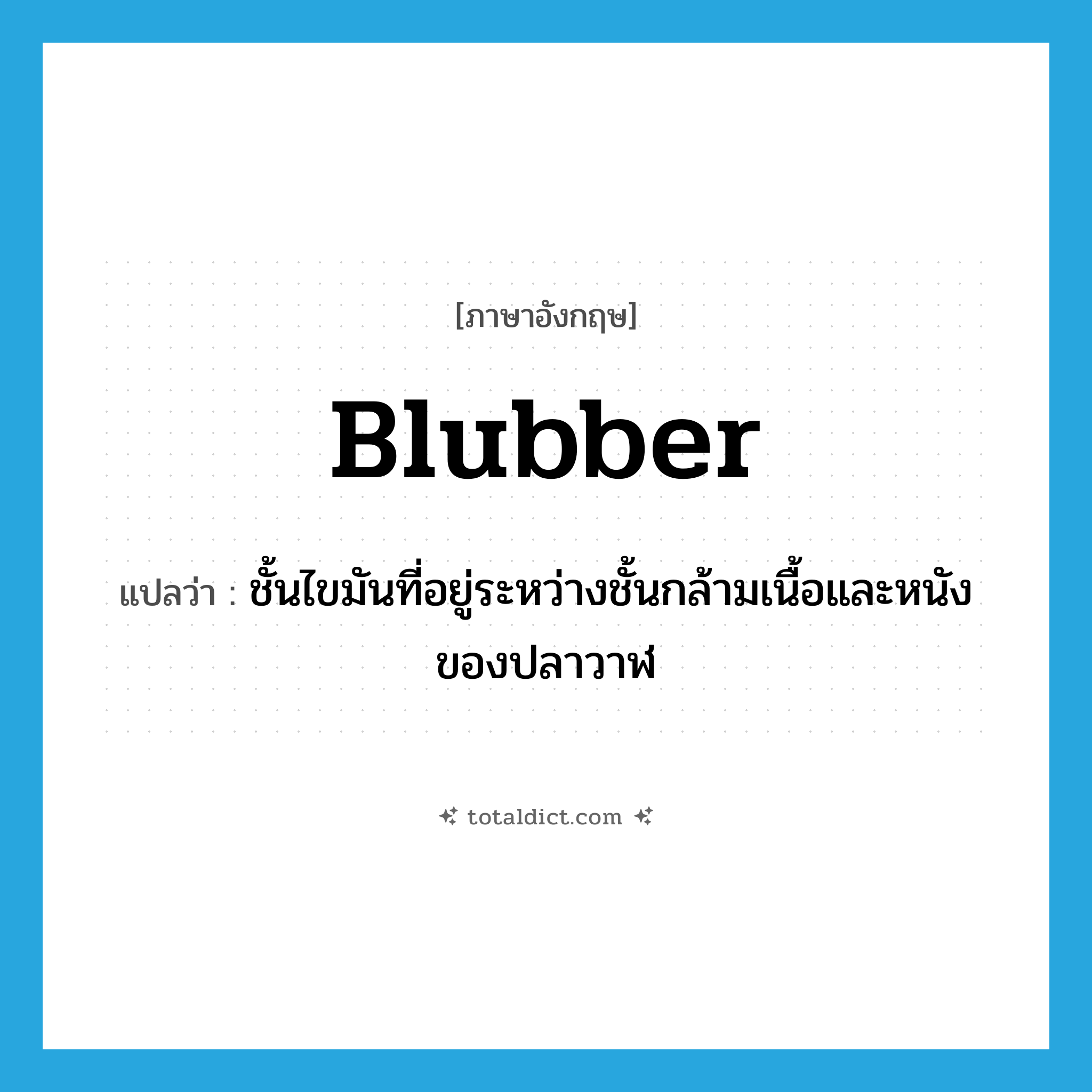 blubber แปลว่า?, คำศัพท์ภาษาอังกฤษ blubber แปลว่า ชั้นไขมันที่อยู่ระหว่างชั้นกล้ามเนื้อและหนังของปลาวาฬ ประเภท N หมวด N