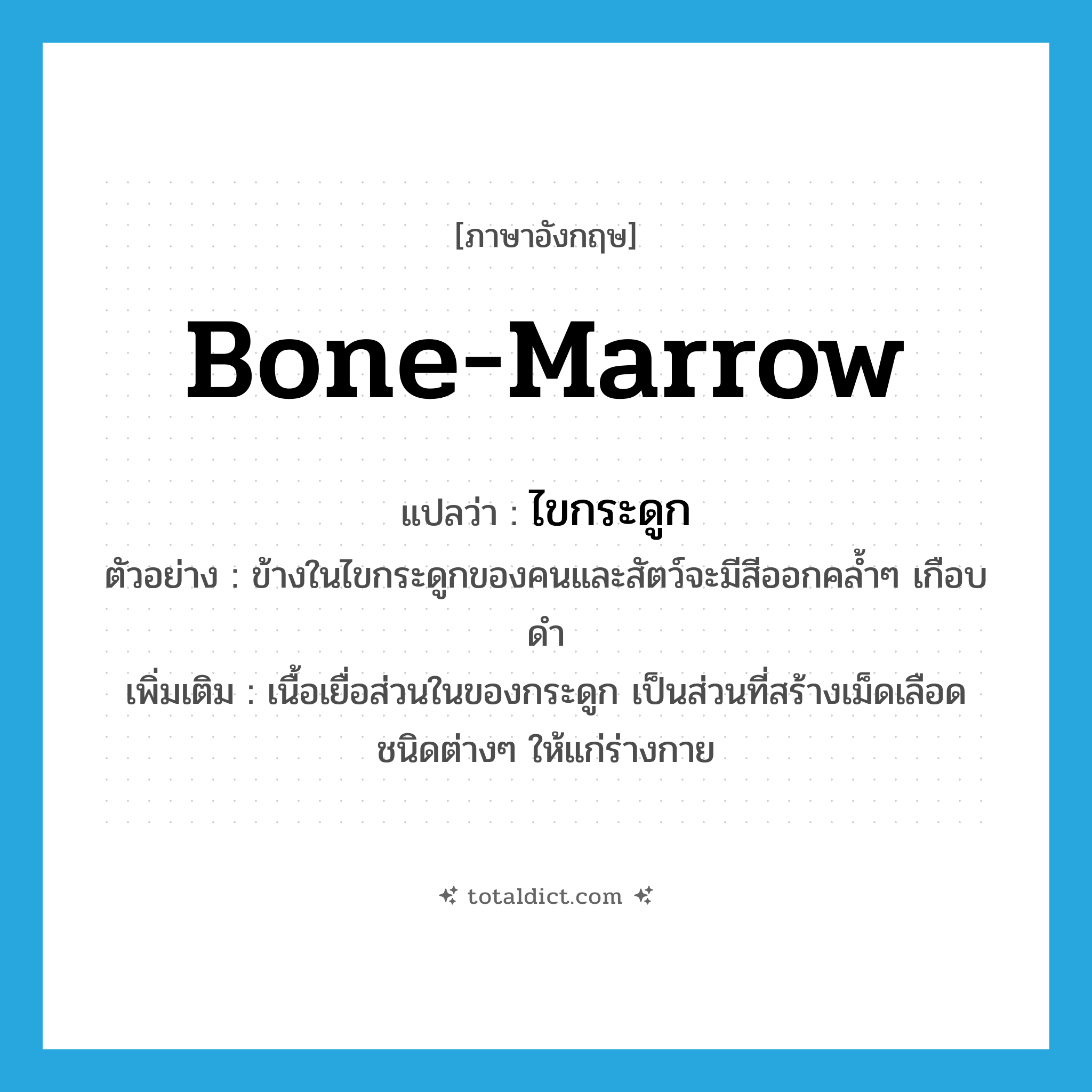 bone-marrow แปลว่า?, คำศัพท์ภาษาอังกฤษ bone-marrow แปลว่า ไขกระดูก ประเภท N ตัวอย่าง ข้างในไขกระดูกของคนและสัตว์จะมีสีออกคล้ำๆ เกือบดำ เพิ่มเติม เนื้อเยื่อส่วนในของกระดูก เป็นส่วนที่สร้างเม็ดเลือดชนิดต่างๆ ให้แก่ร่างกาย หมวด N