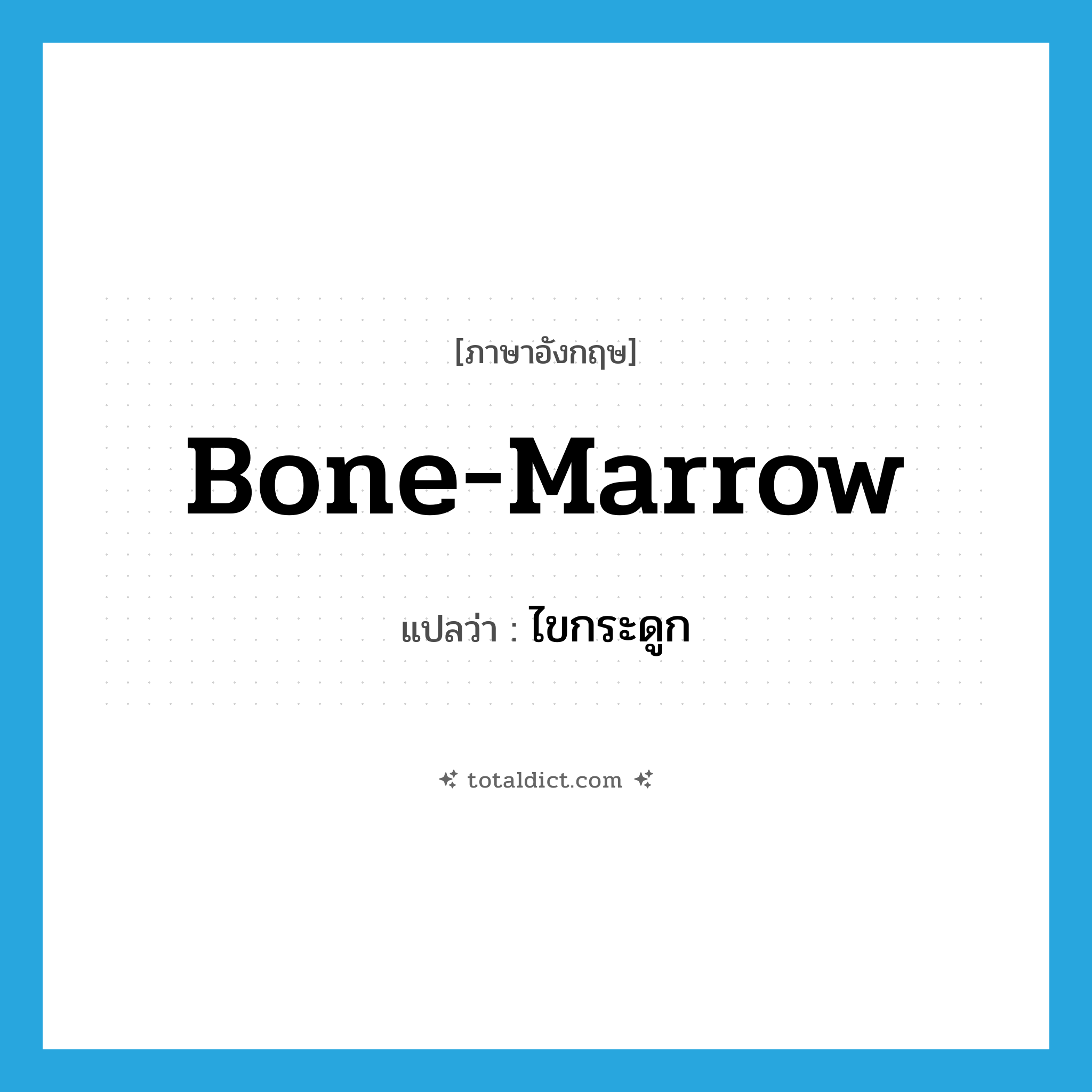 bone-marrow แปลว่า?, คำศัพท์ภาษาอังกฤษ bone-marrow แปลว่า ไขกระดูก ประเภท N หมวด N