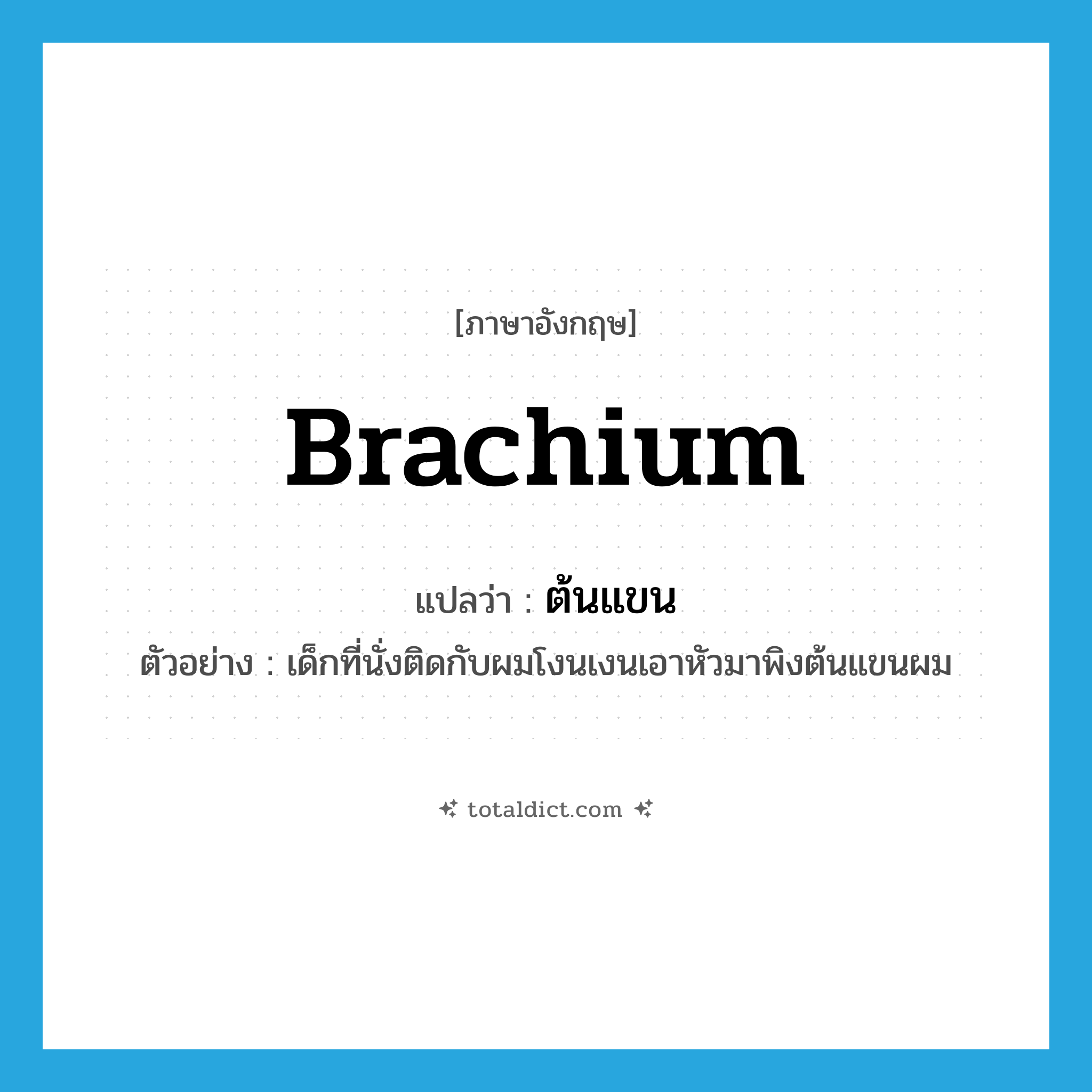 brachium แปลว่า?, คำศัพท์ภาษาอังกฤษ brachium แปลว่า ต้นแขน ประเภท N ตัวอย่าง เด็กที่นั่งติดกับผมโงนเงนเอาหัวมาพิงต้นแขนผม หมวด N