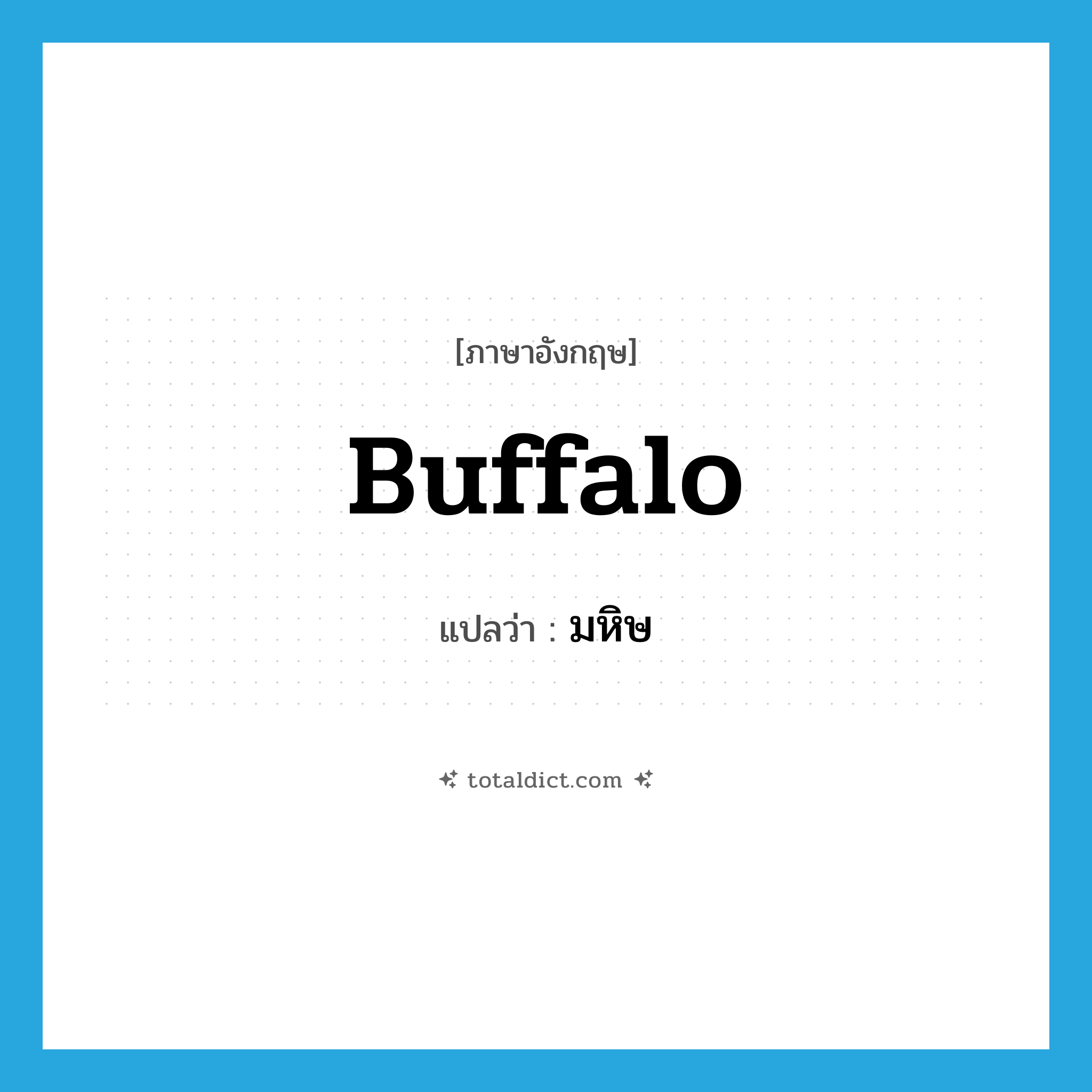 buffalo แปลว่า?, คำศัพท์ภาษาอังกฤษ buffalo แปลว่า มหิษ ประเภท N หมวด N