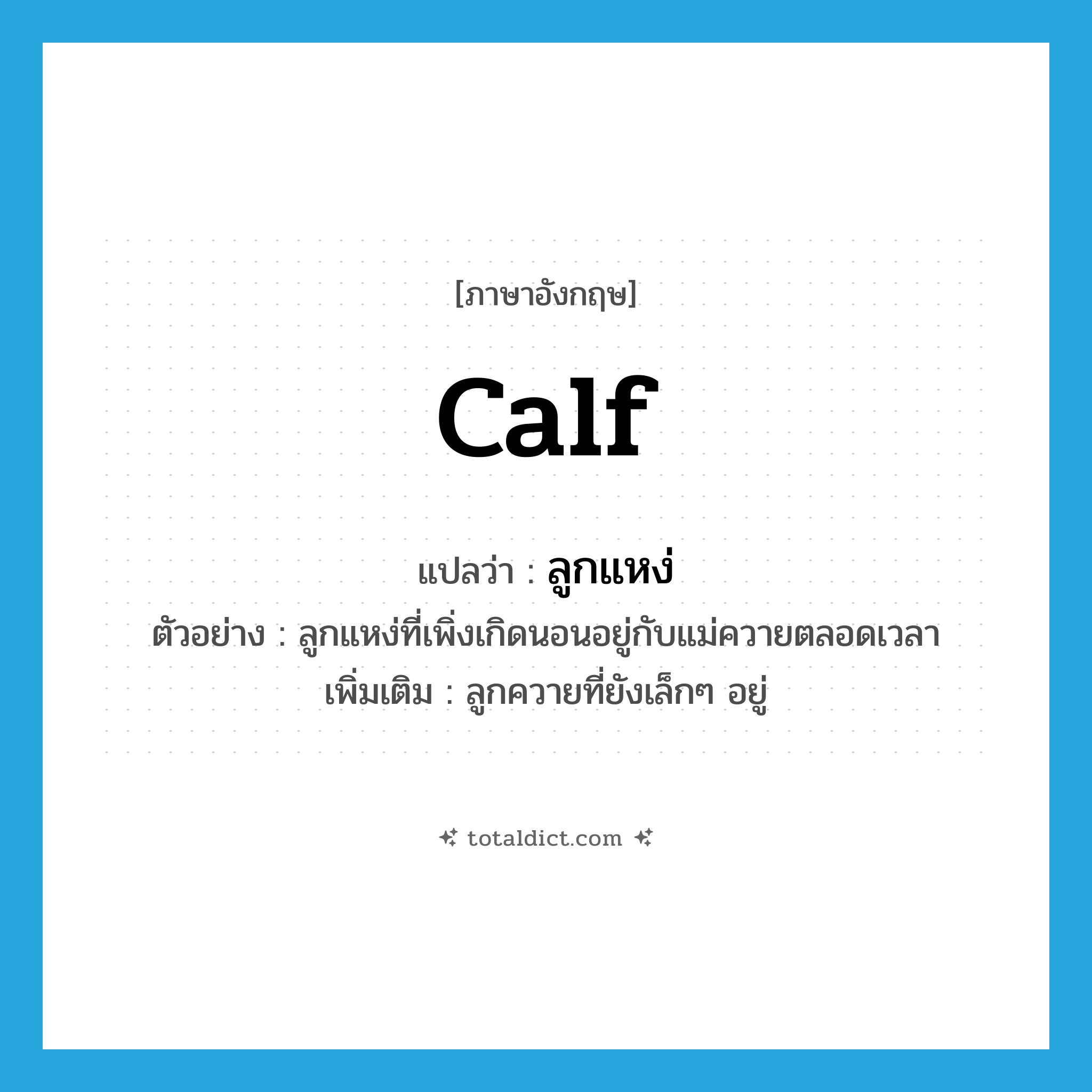 calf แปลว่า?, คำศัพท์ภาษาอังกฤษ calf แปลว่า ลูกแหง่ ประเภท N ตัวอย่าง ลูกแหง่ที่เพิ่งเกิดนอนอยู่กับแม่ควายตลอดเวลา เพิ่มเติม ลูกควายที่ยังเล็กๆ อยู่ หมวด N