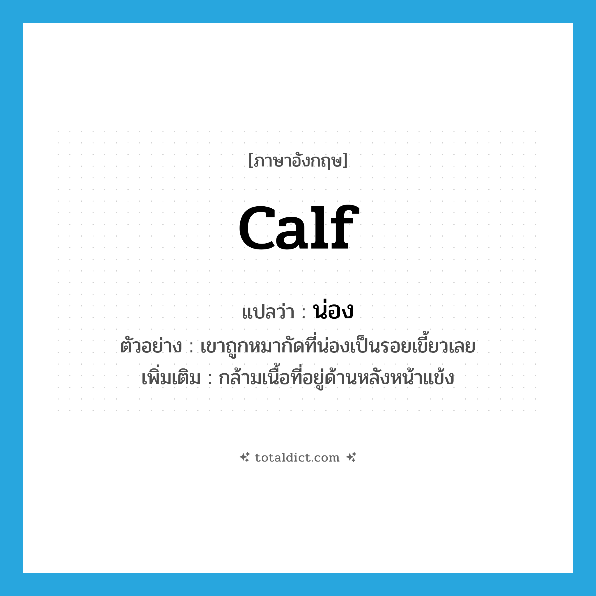 calf แปลว่า?, คำศัพท์ภาษาอังกฤษ calf แปลว่า น่อง ประเภท N ตัวอย่าง เขาถูกหมากัดที่น่องเป็นรอยเขี้ยวเลย เพิ่มเติม กล้ามเนื้อที่อยู่ด้านหลังหน้าแข้ง หมวด N