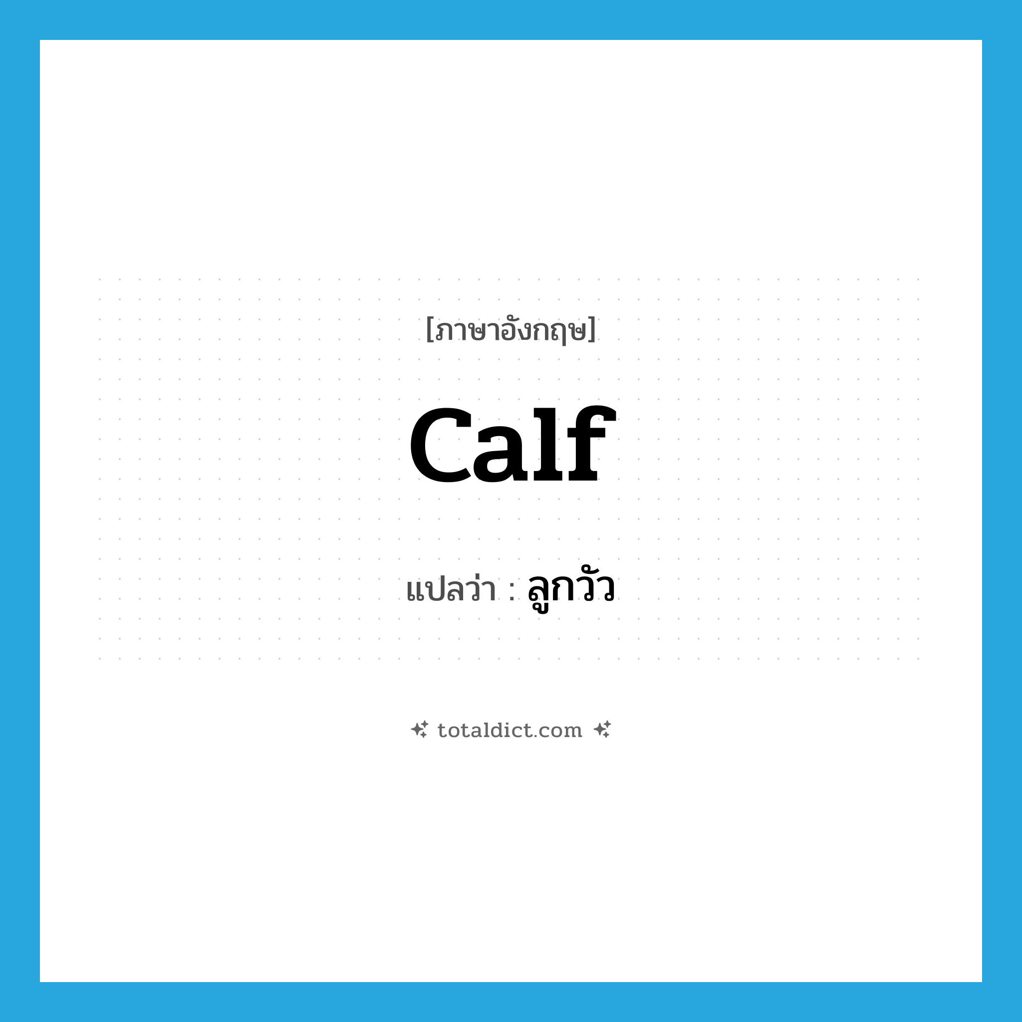 calf แปลว่า?, คำศัพท์ภาษาอังกฤษ calf แปลว่า ลูกวัว ประเภท N หมวด N