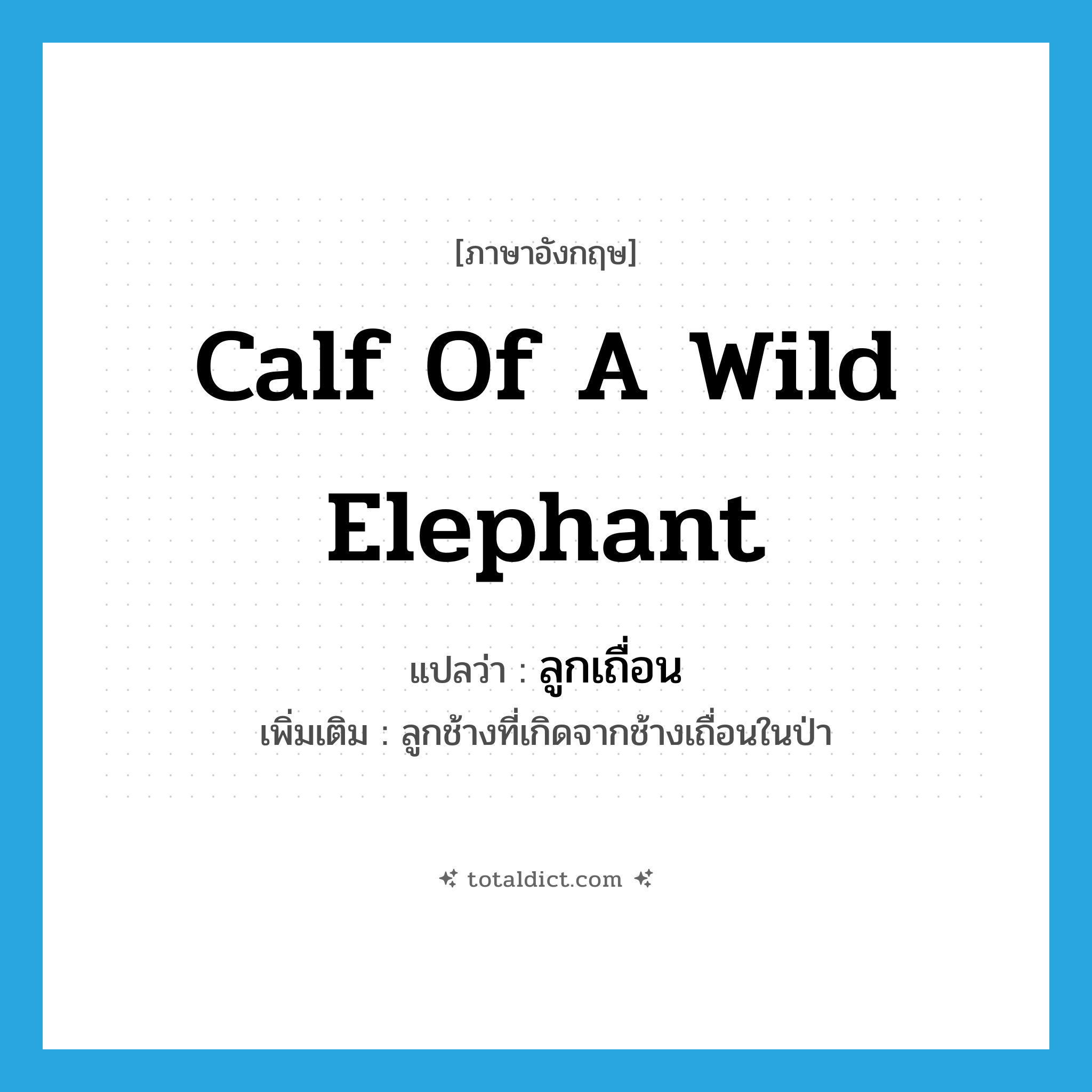 calf of a wild elephant แปลว่า?, คำศัพท์ภาษาอังกฤษ calf of a wild elephant แปลว่า ลูกเถื่อน ประเภท N เพิ่มเติม ลูกช้างที่เกิดจากช้างเถื่อนในป่า หมวด N