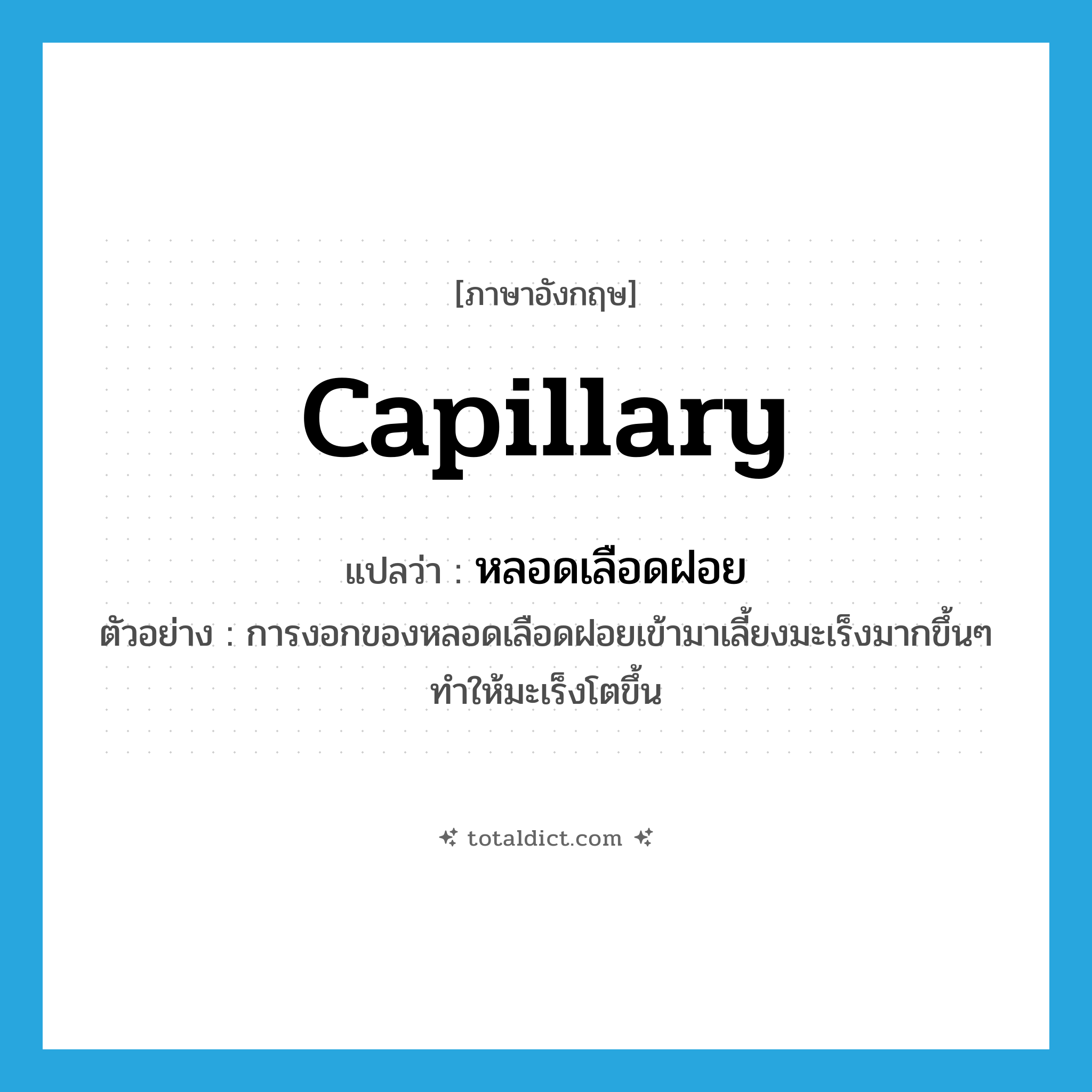 capillary แปลว่า?, คำศัพท์ภาษาอังกฤษ capillary แปลว่า หลอดเลือดฝอย ประเภท N ตัวอย่าง การงอกของหลอดเลือดฝอยเข้ามาเลี้ยงมะเร็งมากขึ้นๆ ทำให้มะเร็งโตขึ้น หมวด N