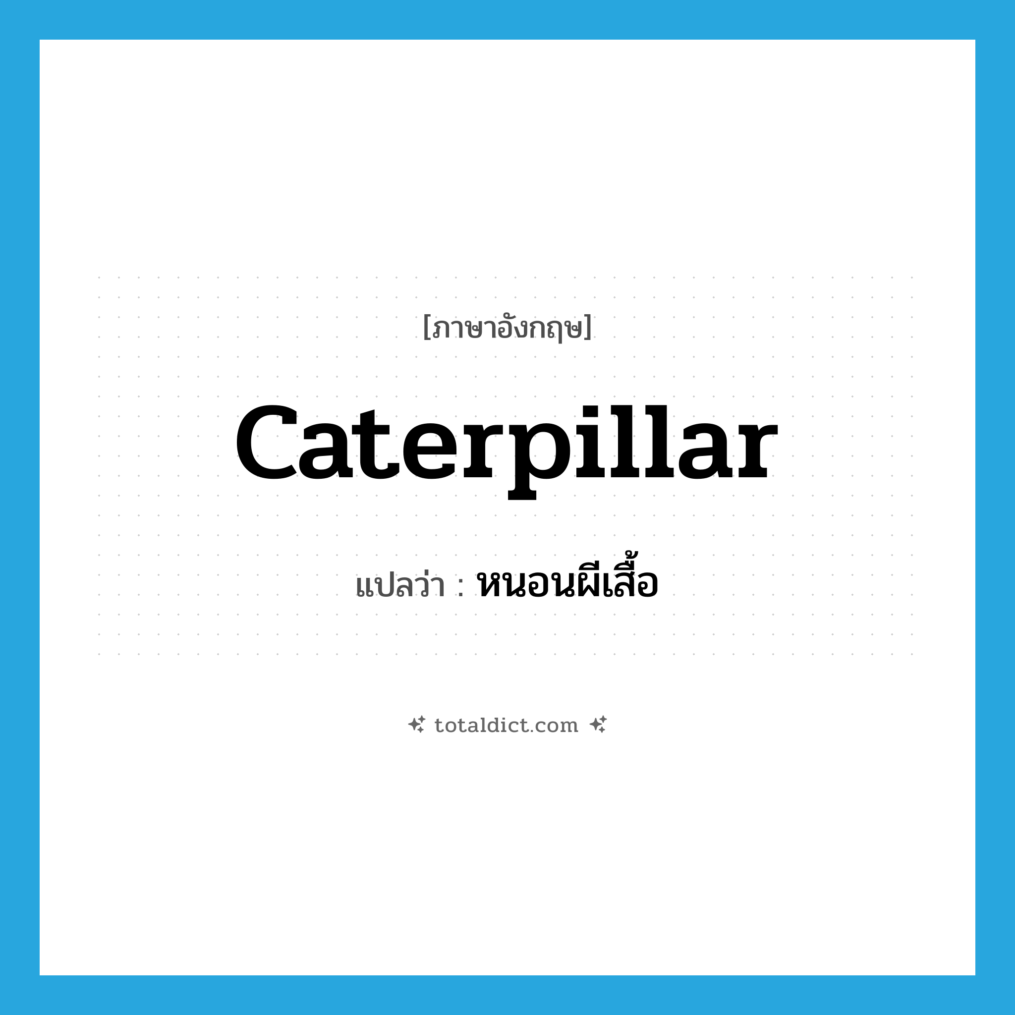 caterpillar แปลว่า?, คำศัพท์ภาษาอังกฤษ caterpillar แปลว่า หนอนผีเสื้อ ประเภท N หมวด N