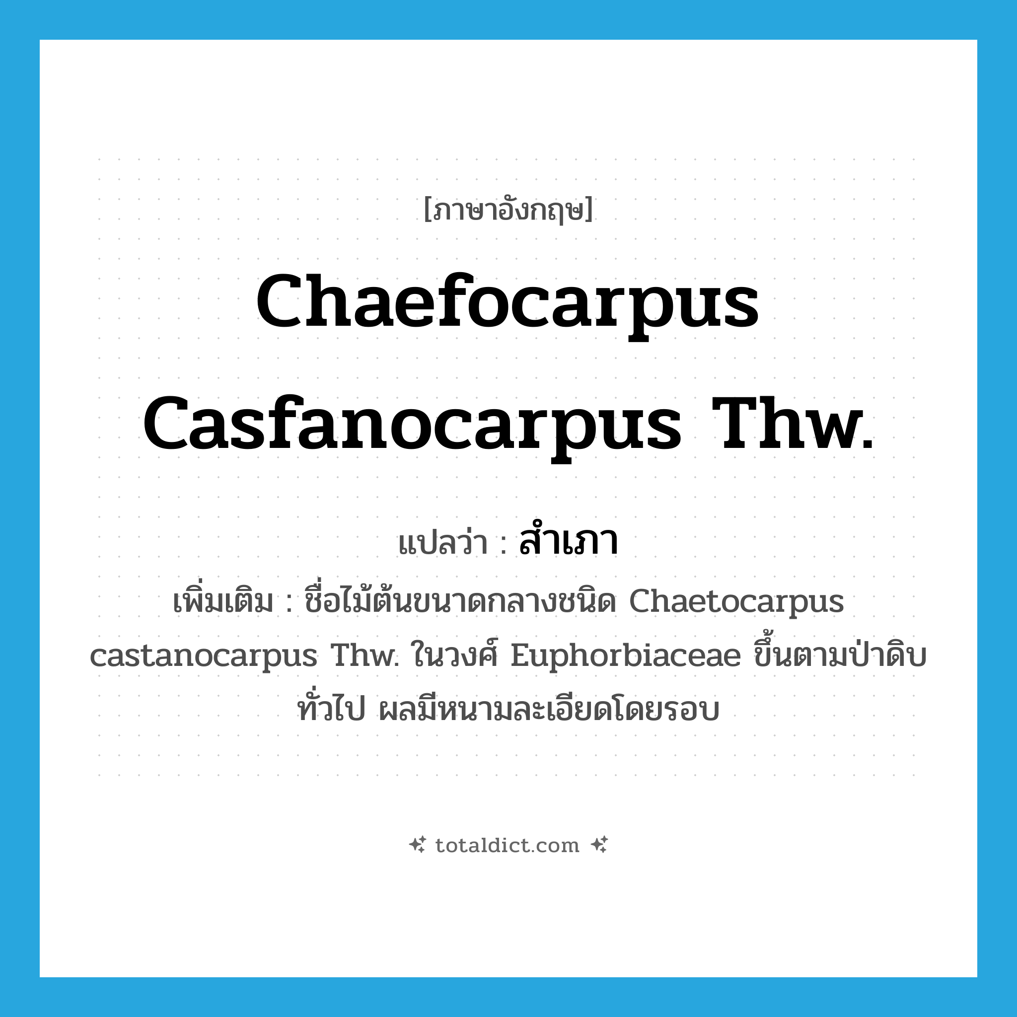 Chaefocarpus casfanocarpus Thw. แปลว่า?, คำศัพท์ภาษาอังกฤษ Chaefocarpus casfanocarpus Thw. แปลว่า สำเภา ประเภท N เพิ่มเติม ชื่อไม้ต้นขนาดกลางชนิด Chaetocarpus castanocarpus Thw. ในวงศ์ Euphorbiaceae ขึ้นตามป่าดิบทั่วไป ผลมีหนามละเอียดโดยรอบ หมวด N