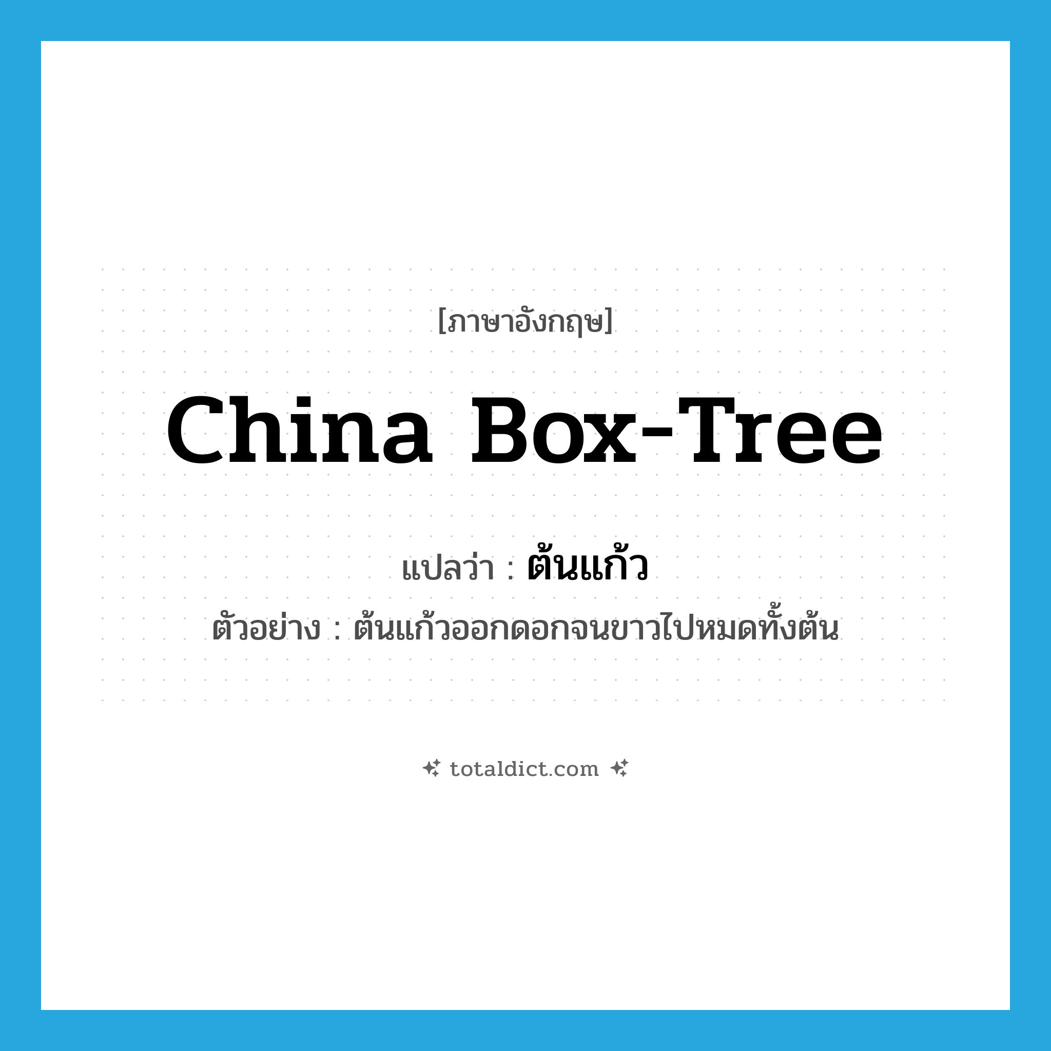 China box-tree แปลว่า?, คำศัพท์ภาษาอังกฤษ China box-tree แปลว่า ต้นแก้ว ประเภท N ตัวอย่าง ต้นแก้วออกดอกจนขาวไปหมดทั้งต้น หมวด N