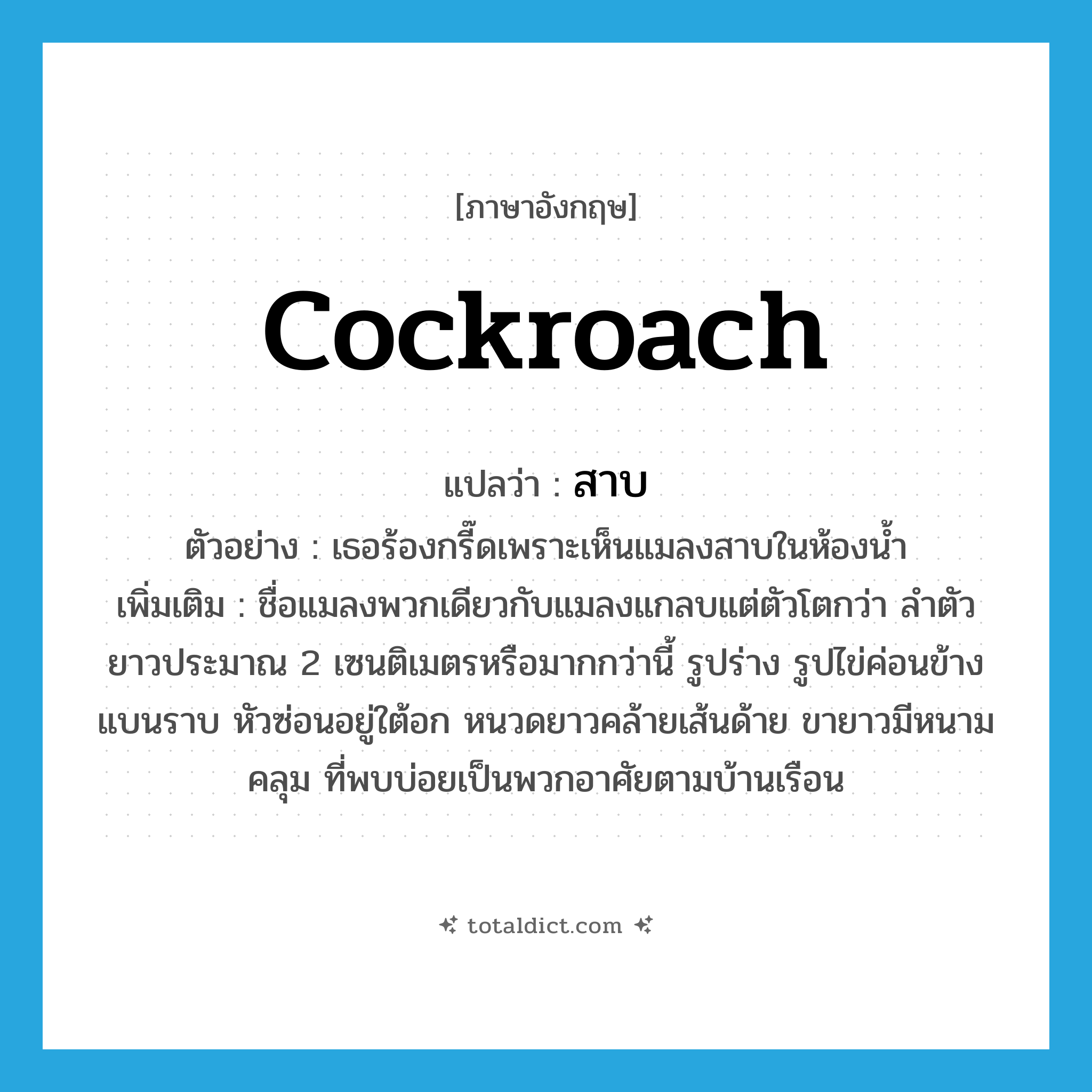 cockroach แปลว่า?, คำศัพท์ภาษาอังกฤษ cockroach แปลว่า สาบ ประเภท N ตัวอย่าง เธอร้องกรี๊ดเพราะเห็นแมลงสาบในห้องน้ำ เพิ่มเติม ชื่อแมลงพวกเดียวกับแมลงแกลบแต่ตัวโตกว่า ลำตัวยาวประมาณ 2 เซนติเมตรหรือมากกว่านี้ รูปร่าง รูปไข่ค่อนข้างแบนราบ หัวซ่อนอยู่ใต้อก หนวดยาวคล้ายเส้นด้าย ขายาวมีหนามคลุม ที่พบบ่อยเป็นพวกอาศัยตามบ้านเรือน หมวด N