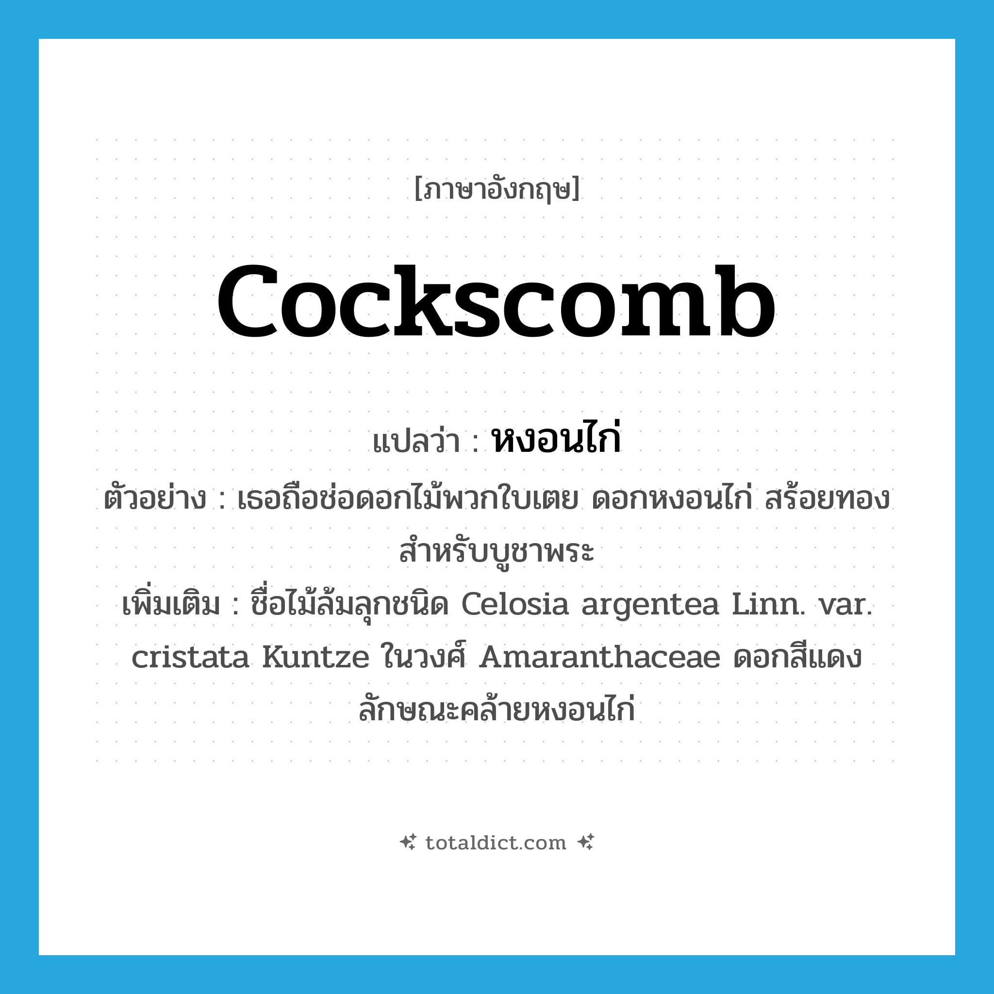 cockscomb แปลว่า?, คำศัพท์ภาษาอังกฤษ cockscomb แปลว่า หงอนไก่ ประเภท N ตัวอย่าง เธอถือช่อดอกไม้พวกใบเตย ดอกหงอนไก่ สร้อยทอง สำหรับบูชาพระ เพิ่มเติม ชื่อไม้ล้มลุกชนิด Celosia argentea Linn. var. cristata Kuntze ในวงศ์ Amaranthaceae ดอกสีแดงลักษณะคล้ายหงอนไก่ หมวด N