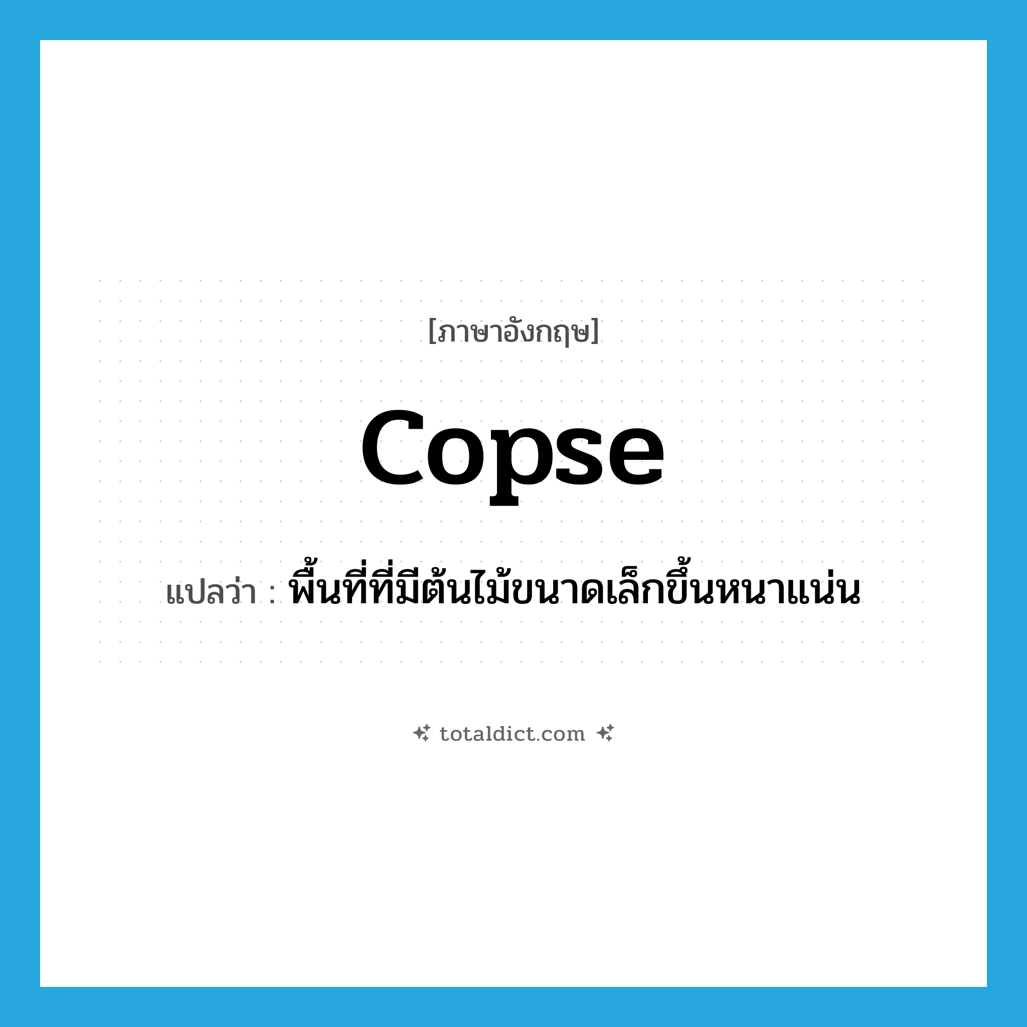 copse แปลว่า?, คำศัพท์ภาษาอังกฤษ copse แปลว่า พื้นที่ที่มีต้นไม้ขนาดเล็กขึ้นหนาแน่น ประเภท N หมวด N