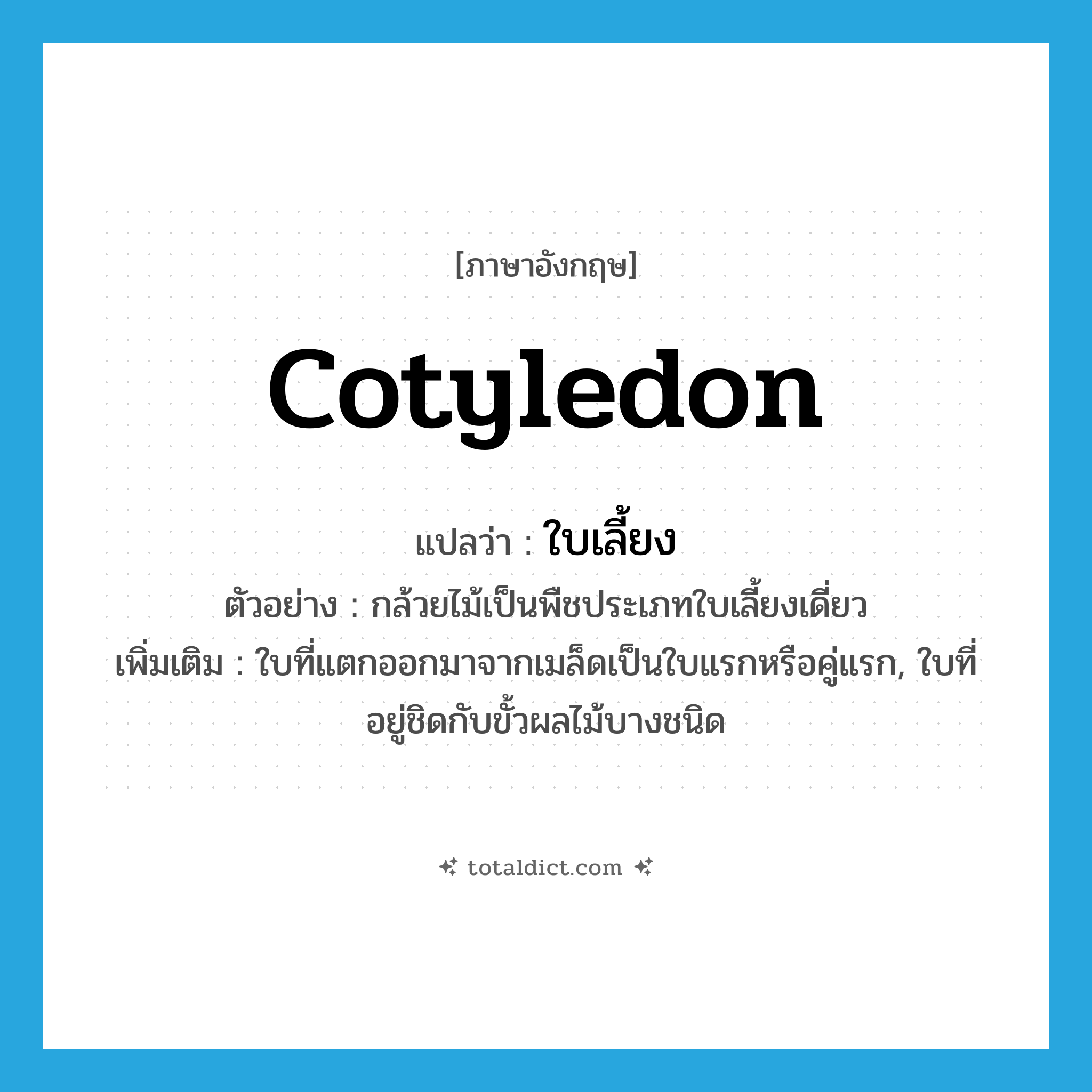 cotyledon แปลว่า?, คำศัพท์ภาษาอังกฤษ cotyledon แปลว่า ใบเลี้ยง ประเภท N ตัวอย่าง กล้วยไม้เป็นพืชประเภทใบเลี้ยงเดี่ยว เพิ่มเติม ใบที่แตกออกมาจากเมล็ดเป็นใบแรกหรือคู่แรก, ใบที่อยู่ชิดกับขั้วผลไม้บางชนิด หมวด N